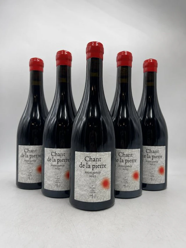 2023 Terra Vita Vinum "Chant de la Pierre" - Anjou - 6 Bottles (0.75L)