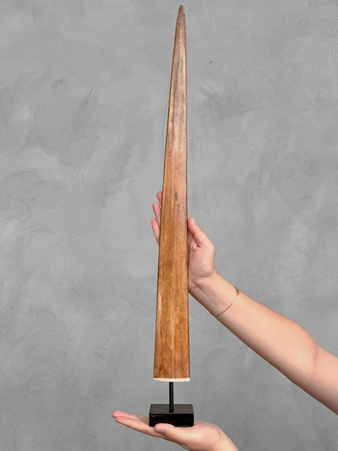 NO RESERVE PRICE - Stunning Swordfish tusk mounted on a...