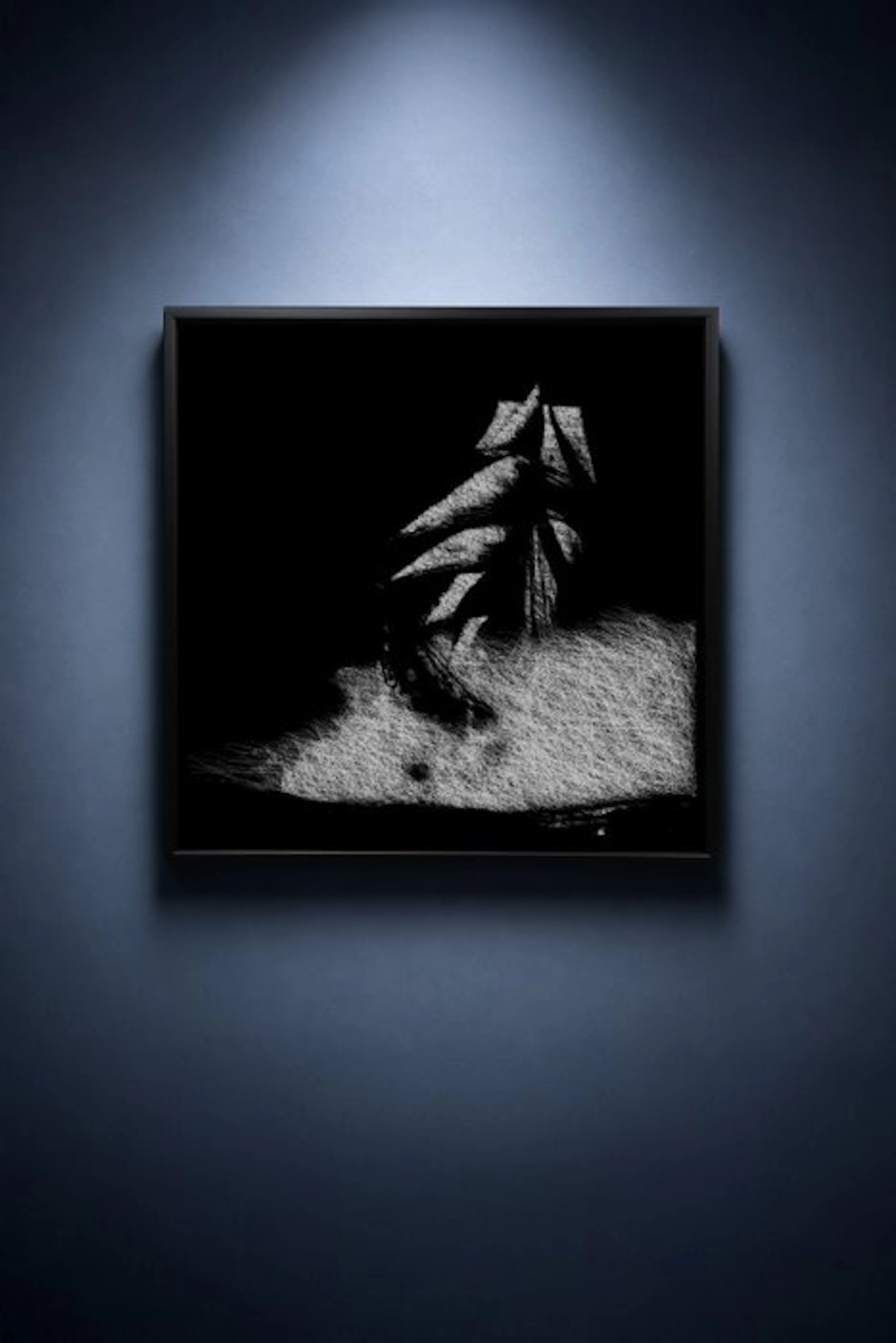 Tijs Dragtsma (1992) - A Prow Splits the Night