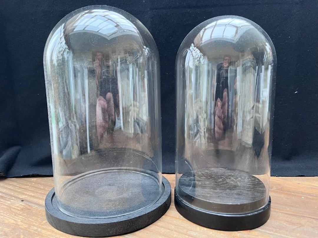 Bell jar - Glass