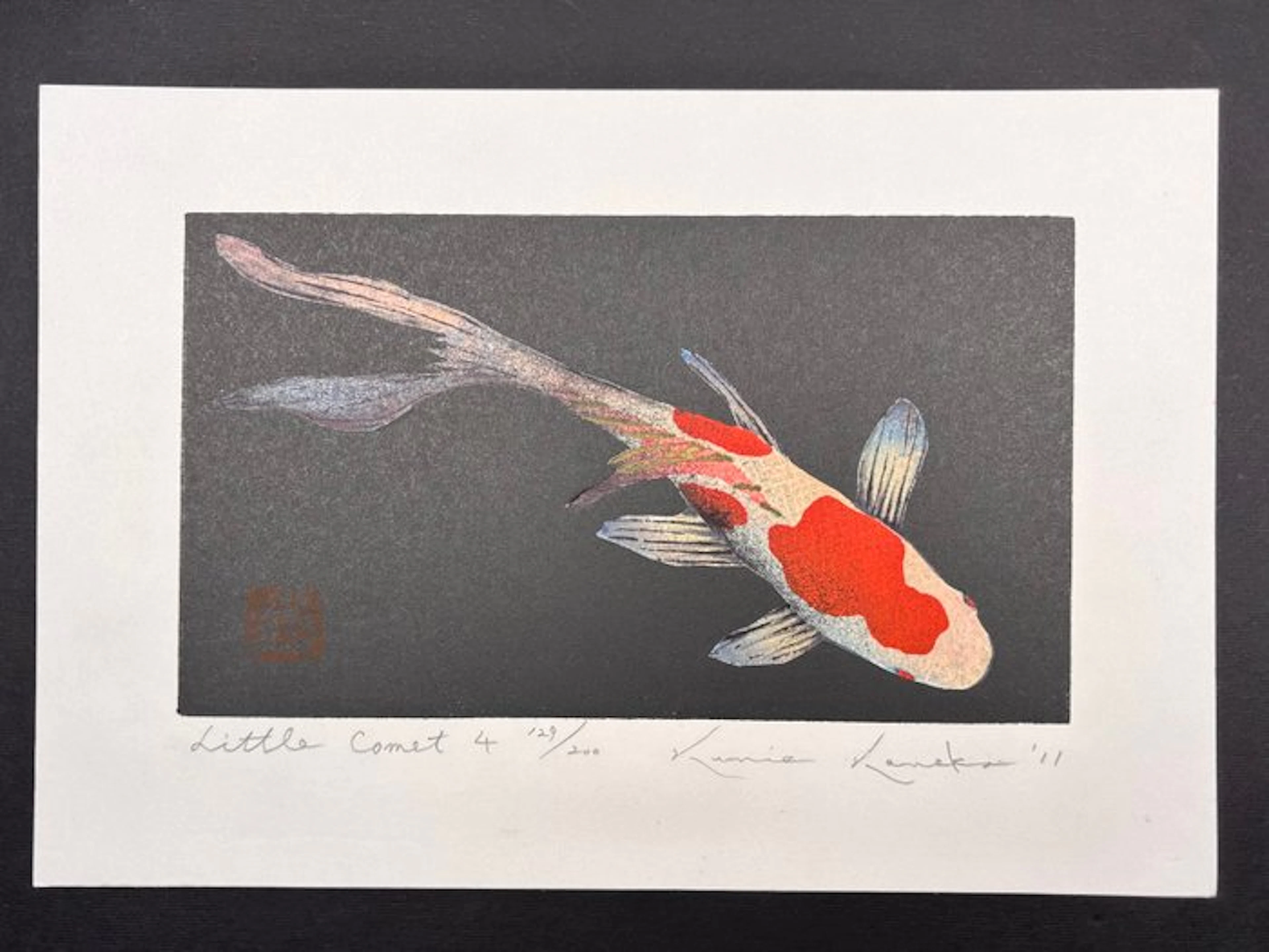 "Little Comet 4" Fortune Carp Koi fish on Black - Limited...