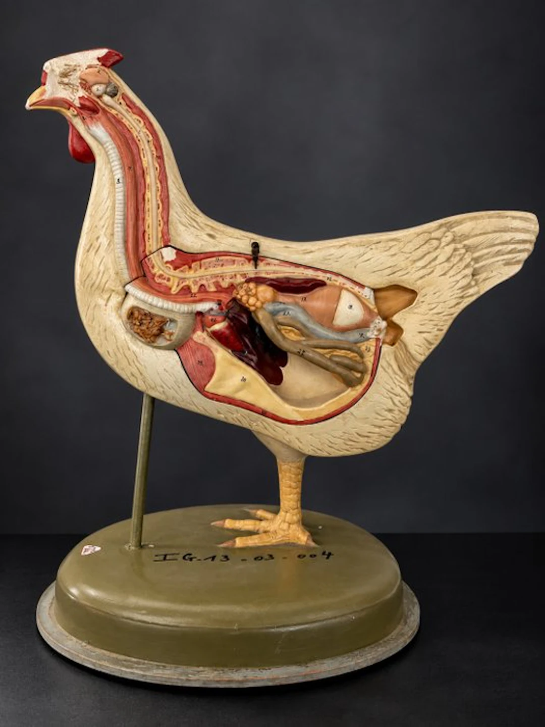 Education/demonstration model - Composite - 1950-1960...