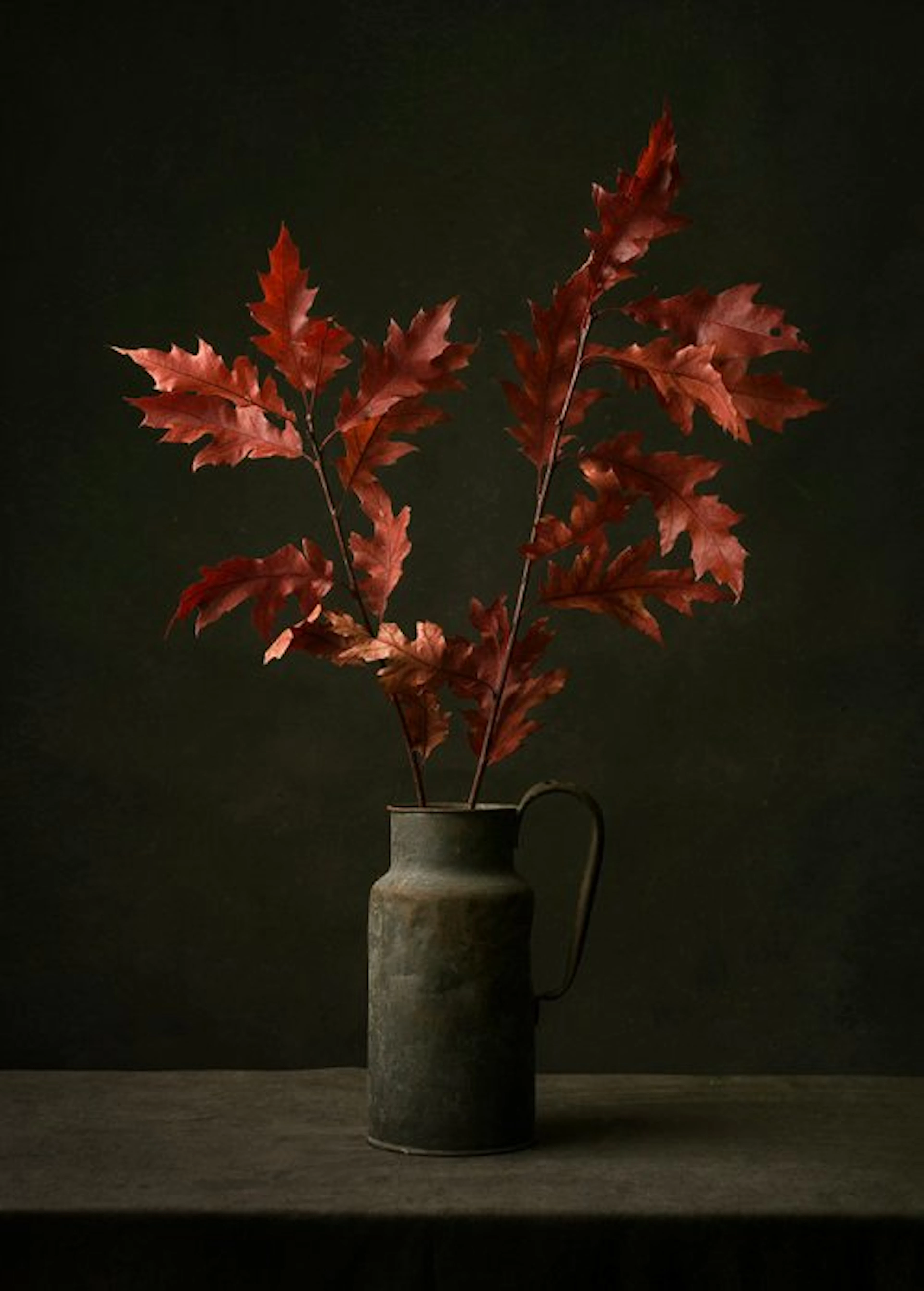 Tessa Posthuma de Boer - Red leaves