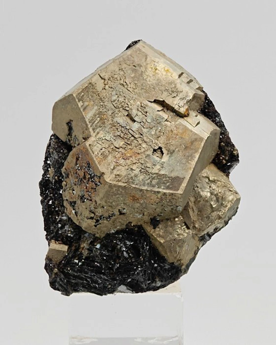 RARE GOLDEN PYRITE with BLACK HEMATITE