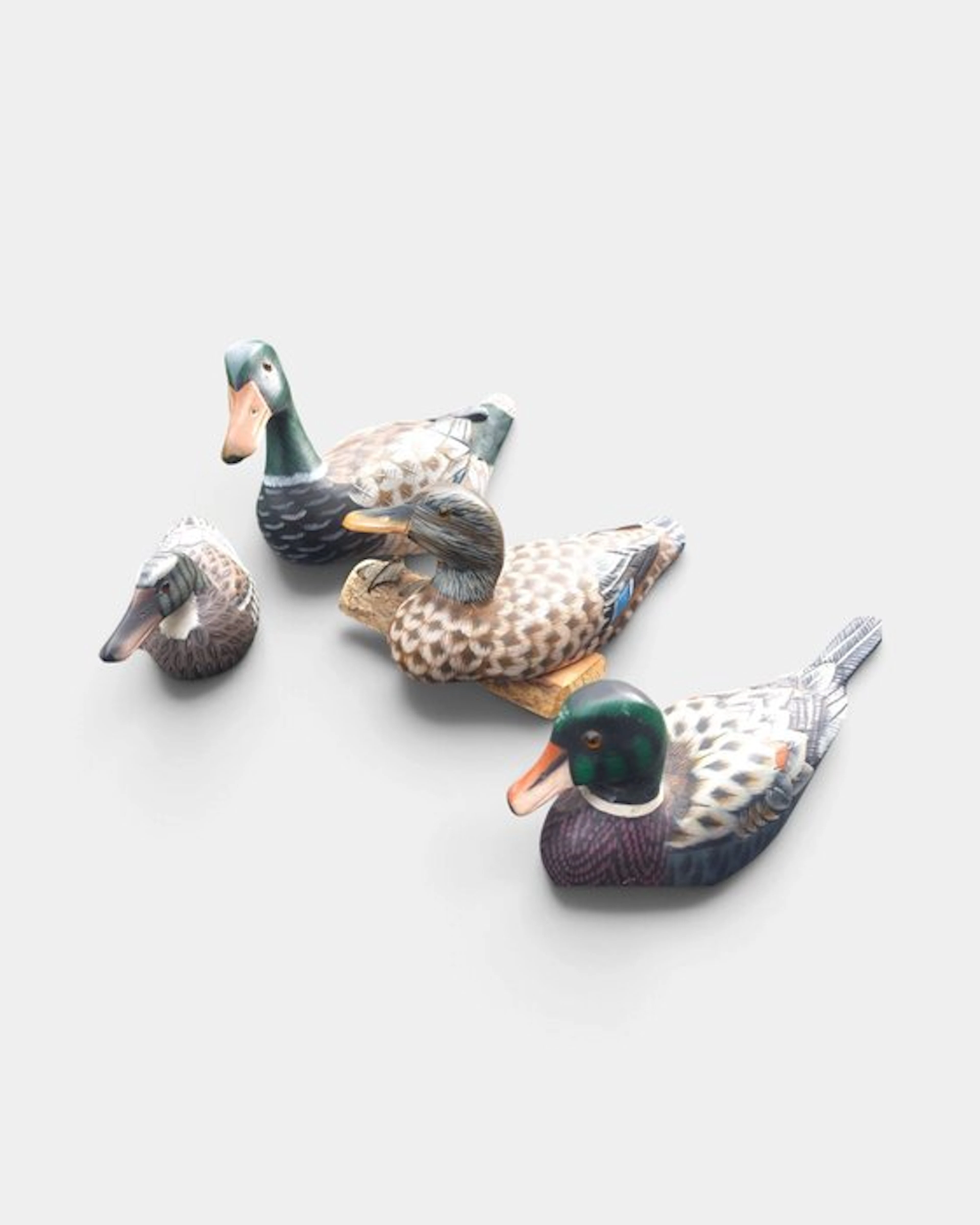 Duck decoy - 4 Canards colverts en bois sculptées et...