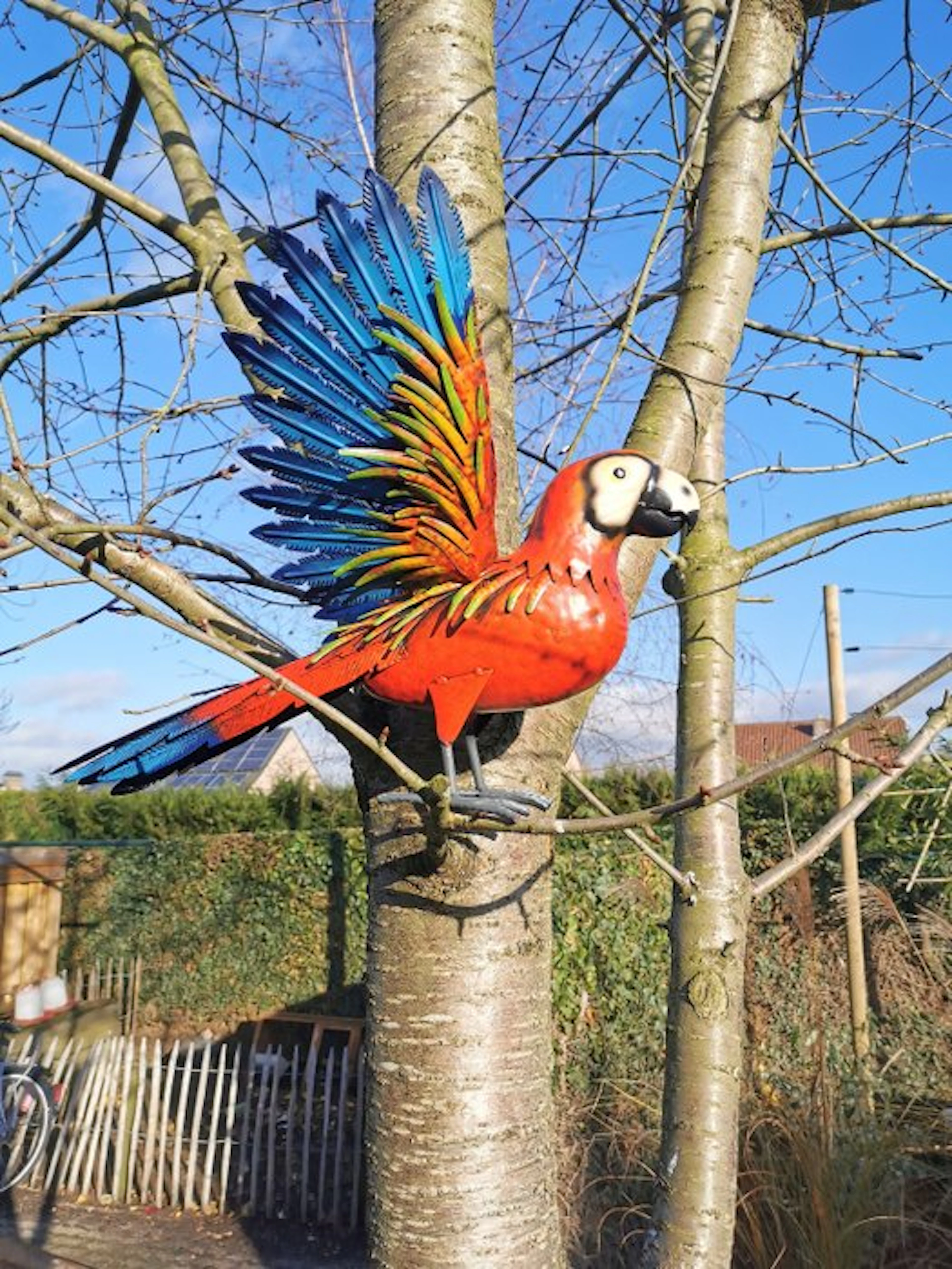 Papegaai - Figurine - Parrot - Metal, Iron