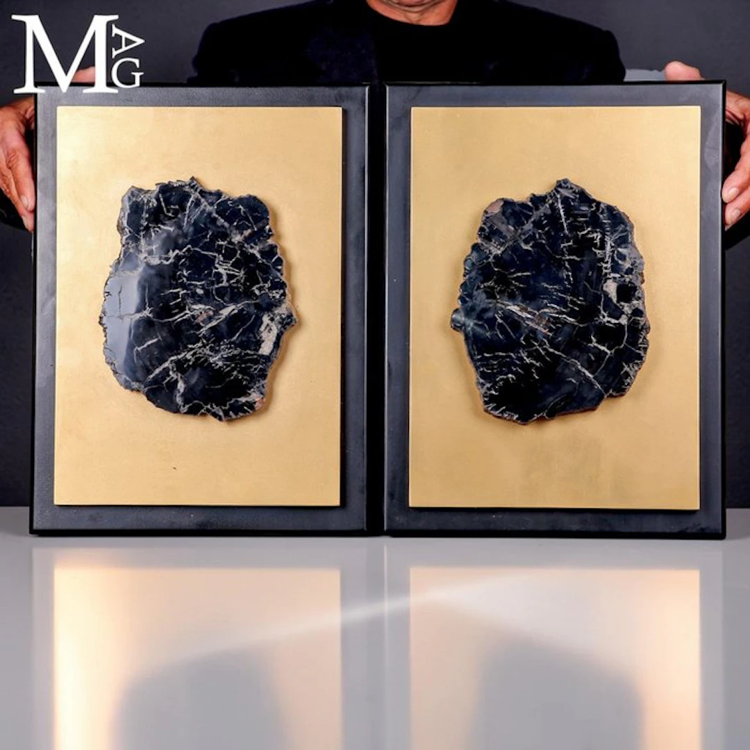 Exquisite Polished Petrified Wood Slices from Triassic...