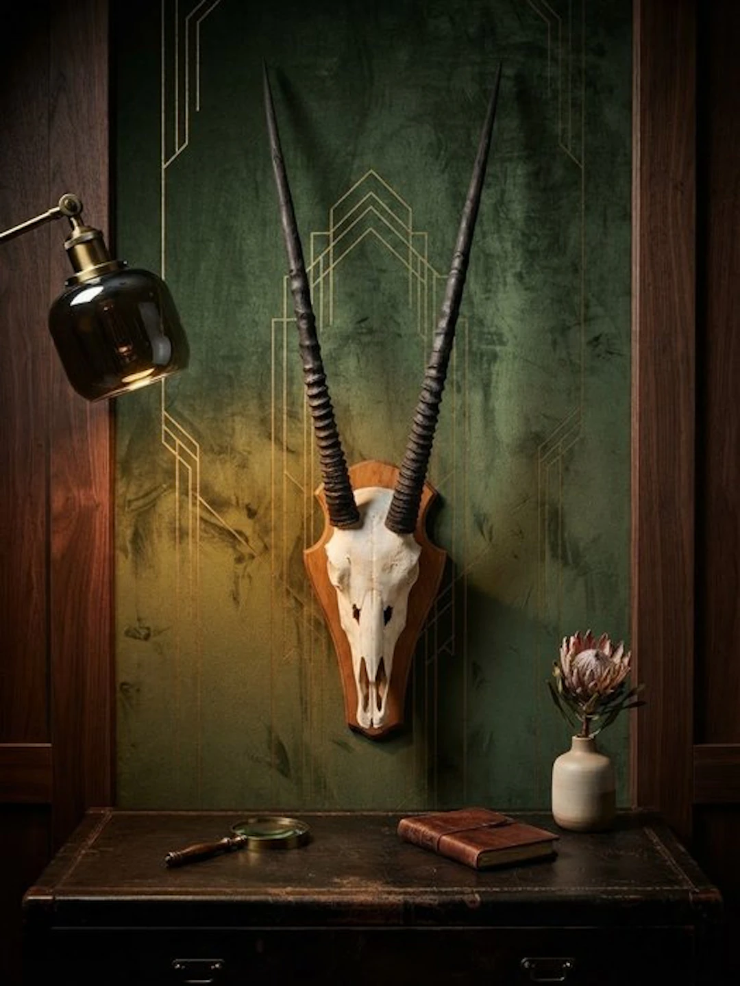 Gazell Skull with antlers - Oryx Gazella - 113 cm - 35 cm - 24 cm - (1)