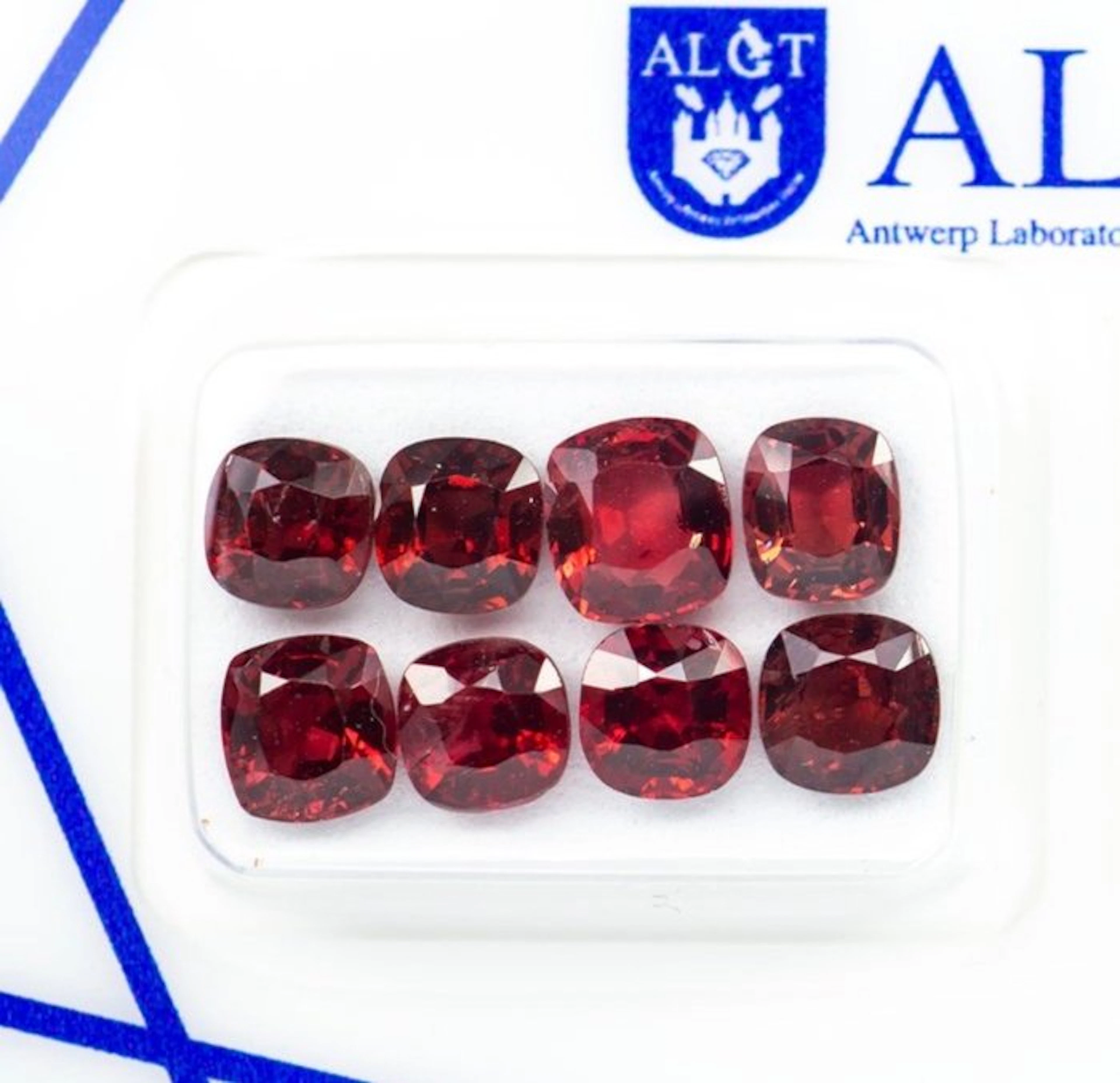 8 pcs Red
