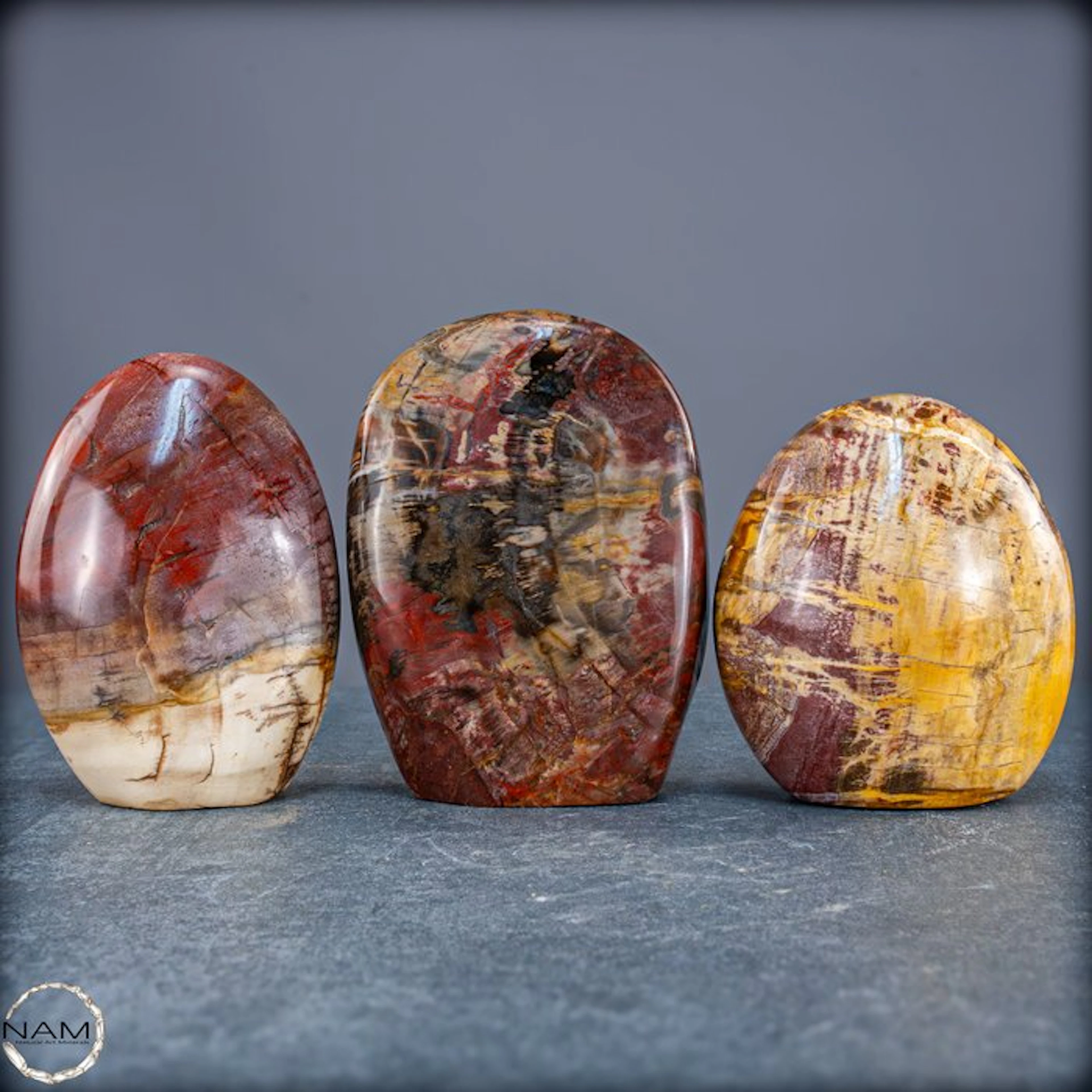 Beautiful set of petrified wood – Freeforms- 2017.64 g - (3)