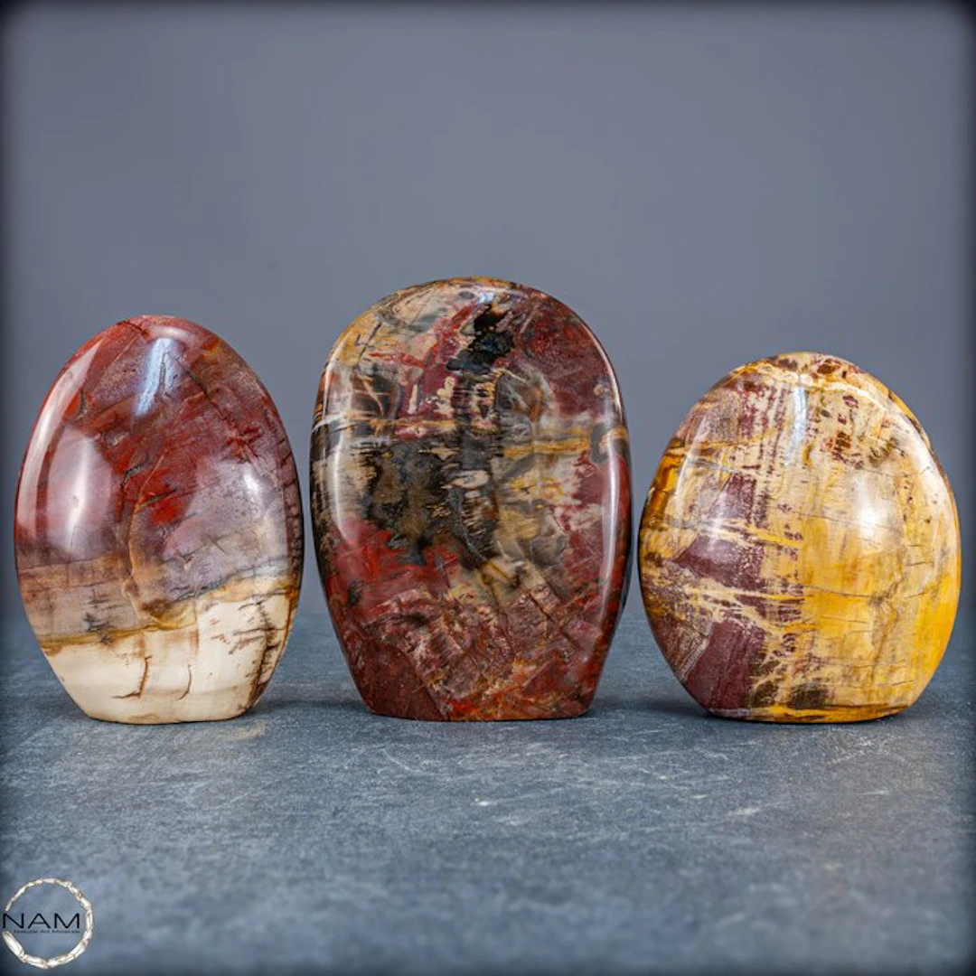 Beautiful set of petrified wood – Freeforms- 2017.64 g - (3)