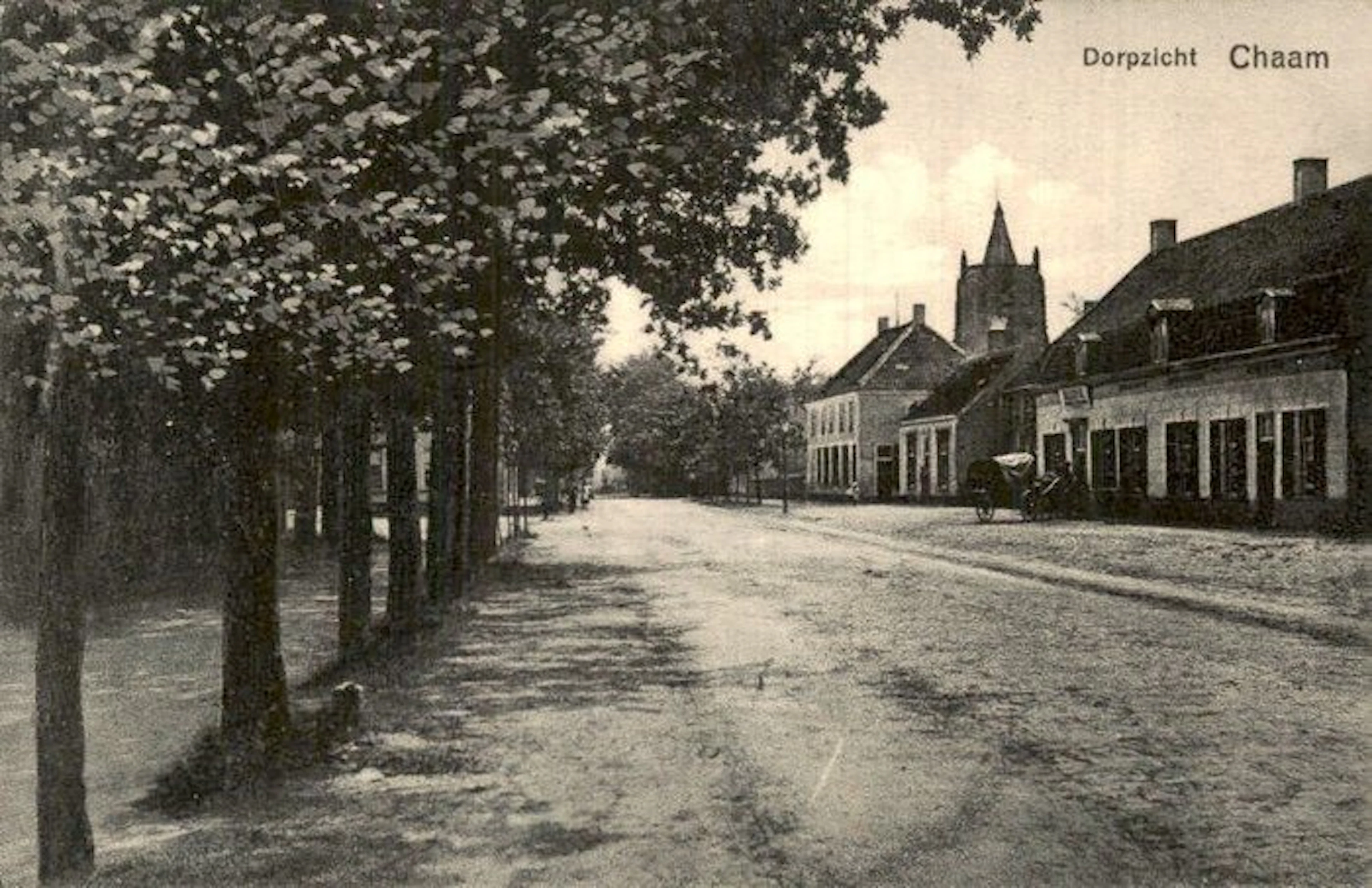 Netherlands - Chaam - Postcard (104) - 1900-1999