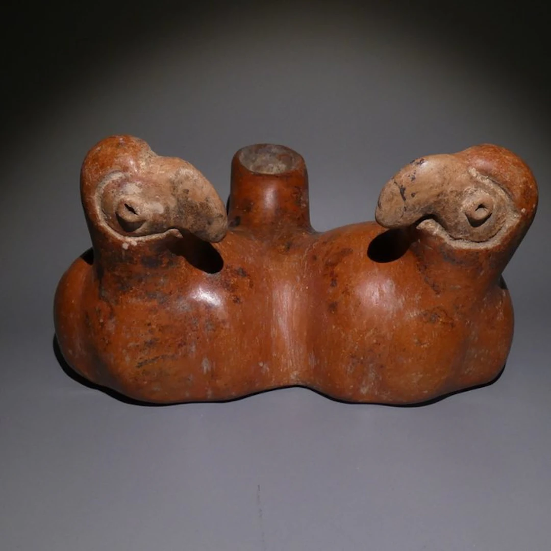 Colima, Terracotta Rare double vessel Parrot