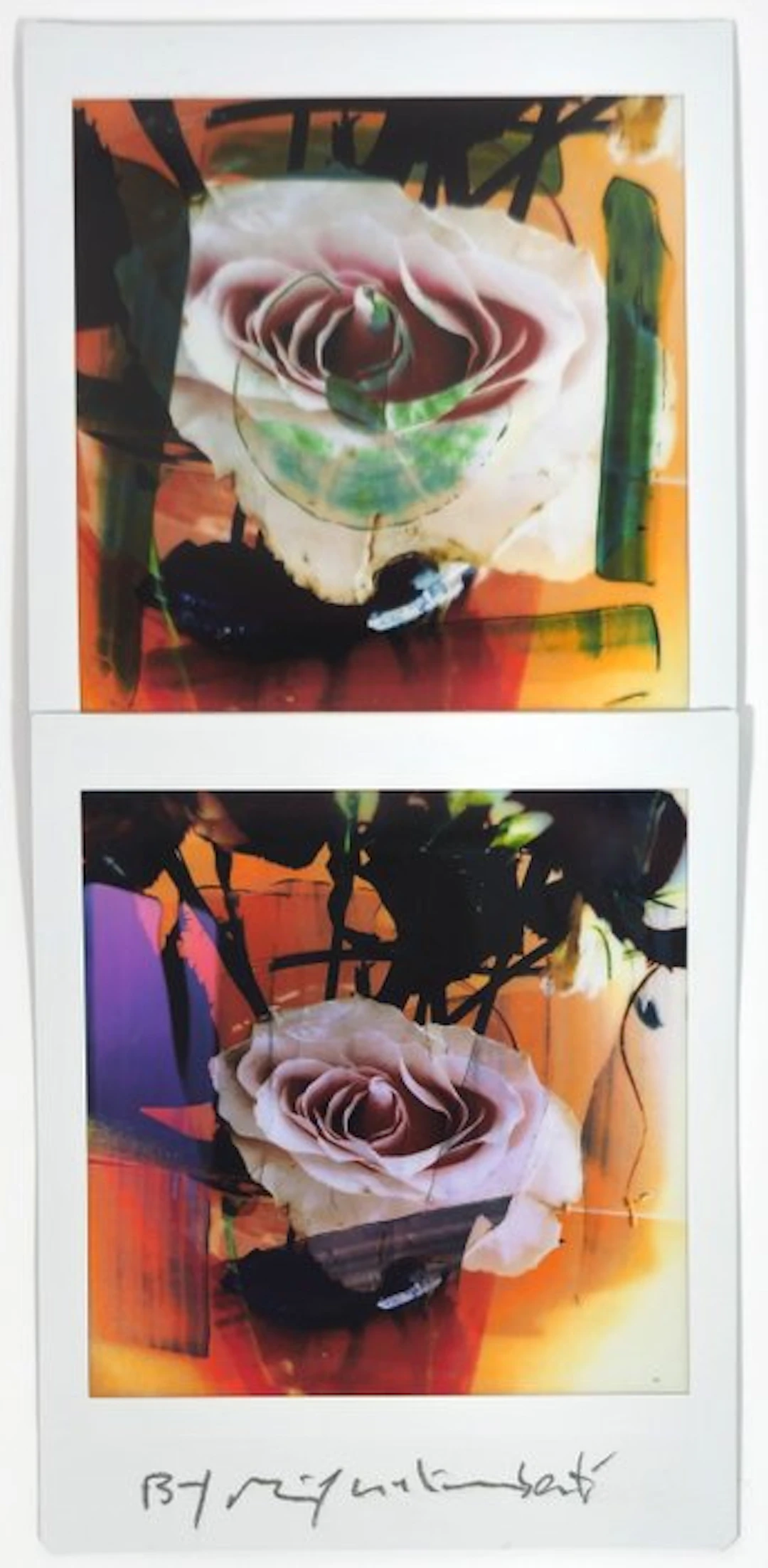 Maurizio Galimberti (1956–) - BiFlowers - 11554