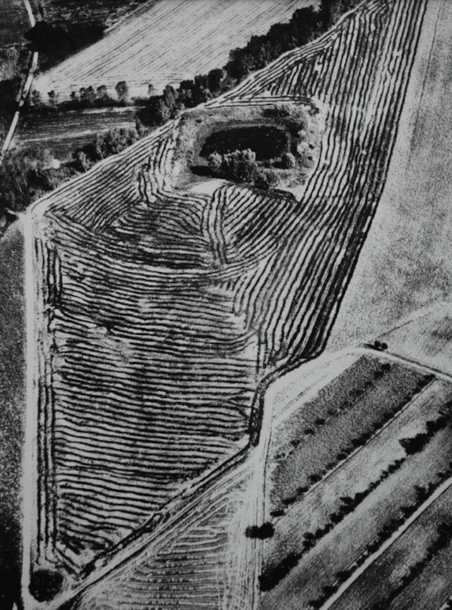 Mario Giacomelli (1925–2000) - Presa di coscienza sulla natura