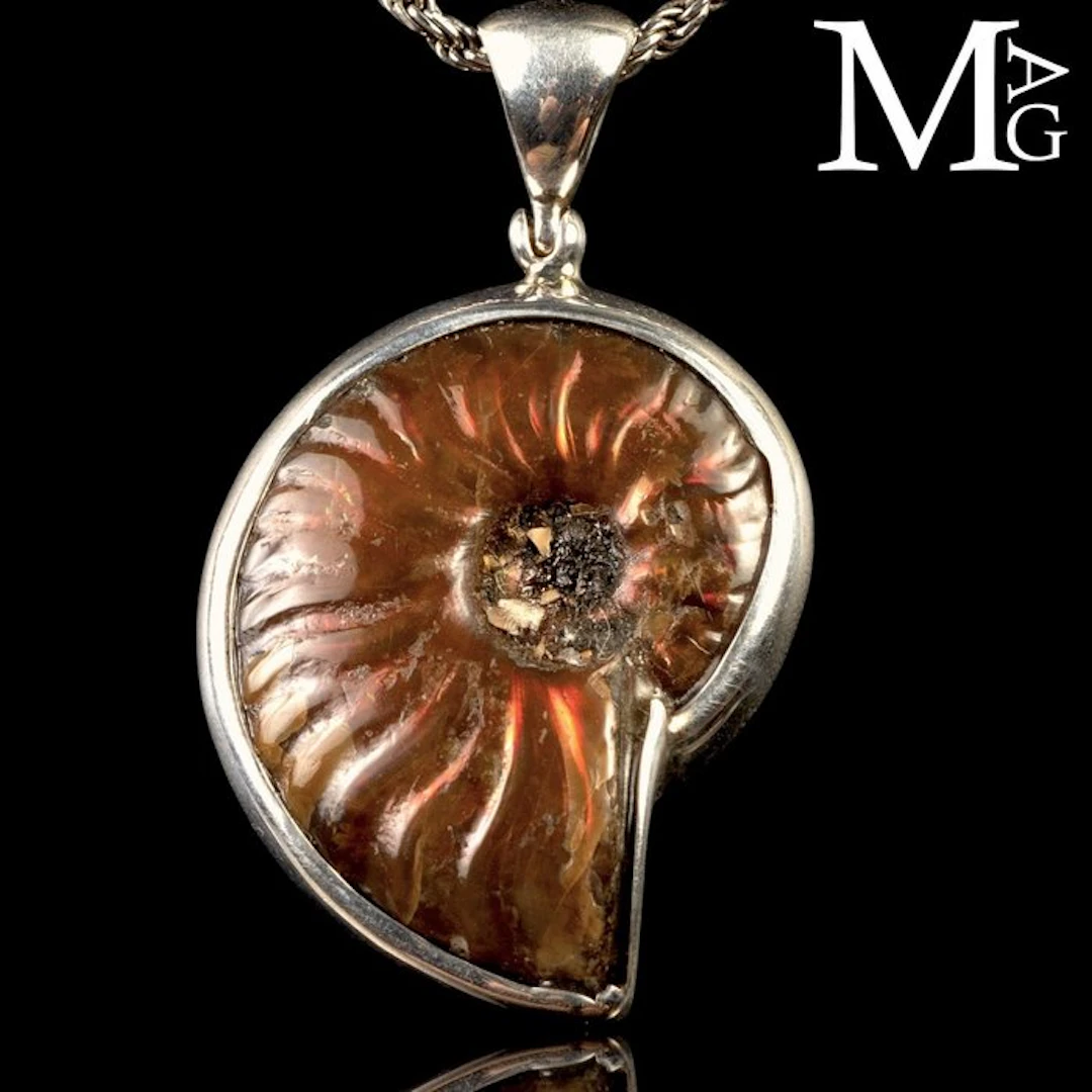 Jurassic Jewellery Sterling Silver Pendant with...