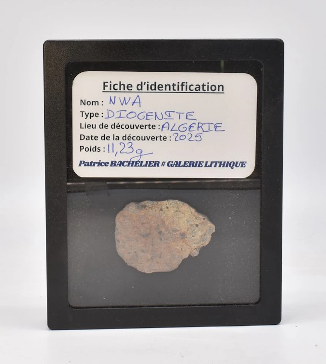 Beautiful slice of a diogenite meteorite