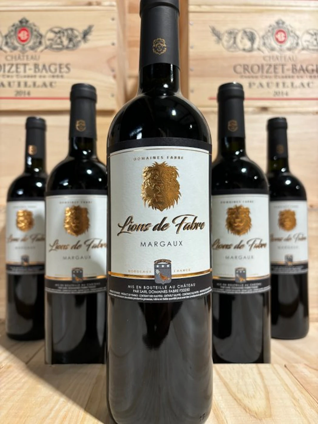 2019 Château "Lions de Fabre" - Margaux - 6 Bottles (0.75L)