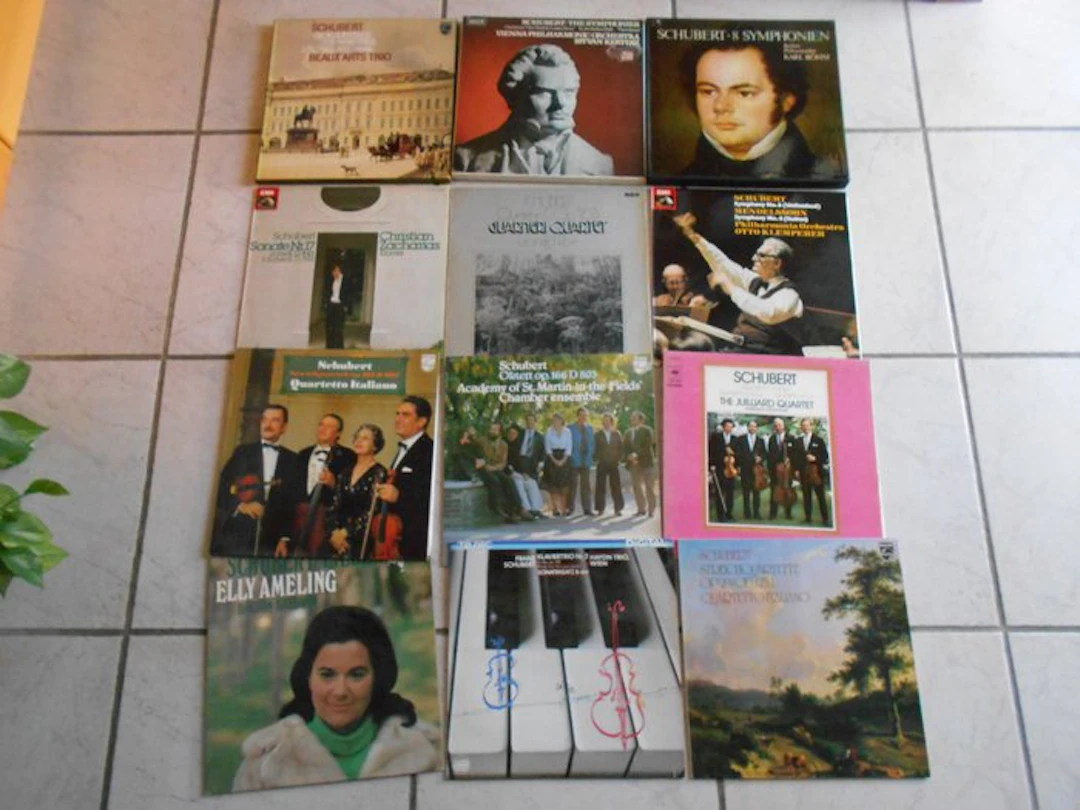 Franz Schubert - Multiple artists - 12 x albums inc