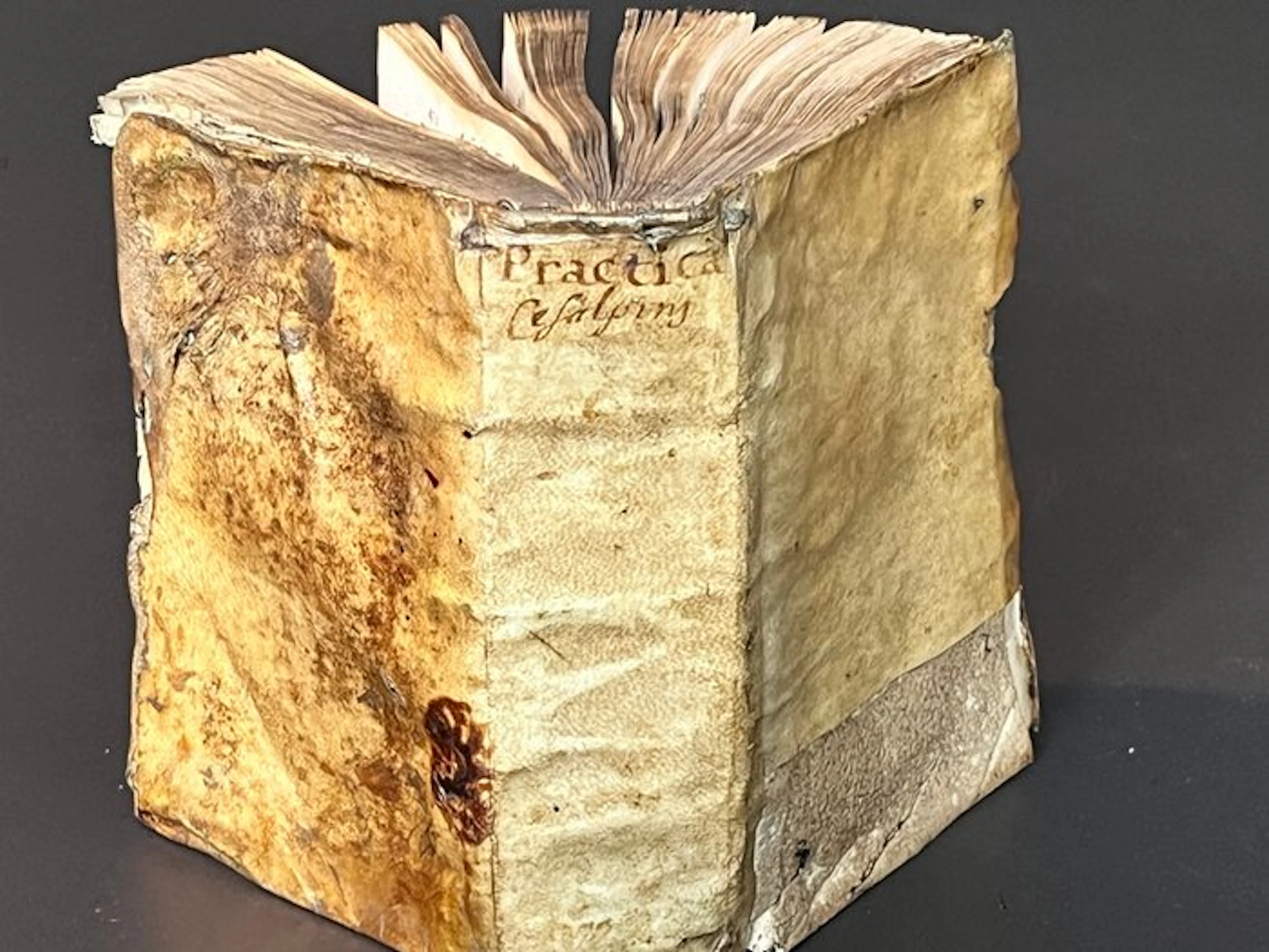 Andreas Caesalpinus - Praxis universae artis medicae...