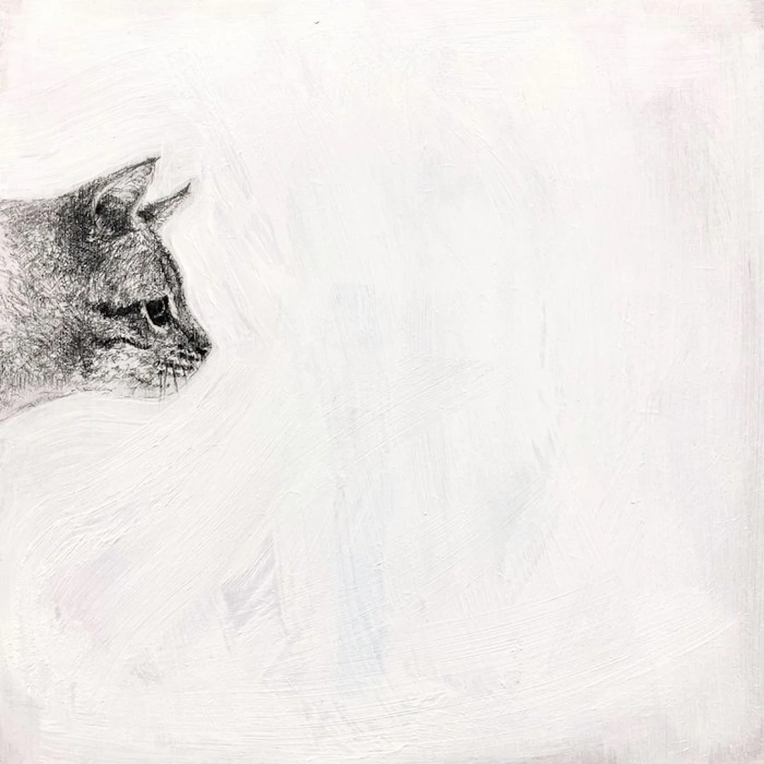 Irma - Gatto grigio