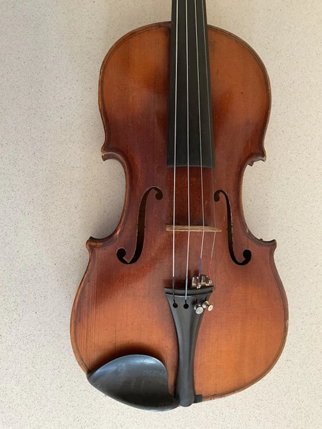 Unknown - - Violin - Germany