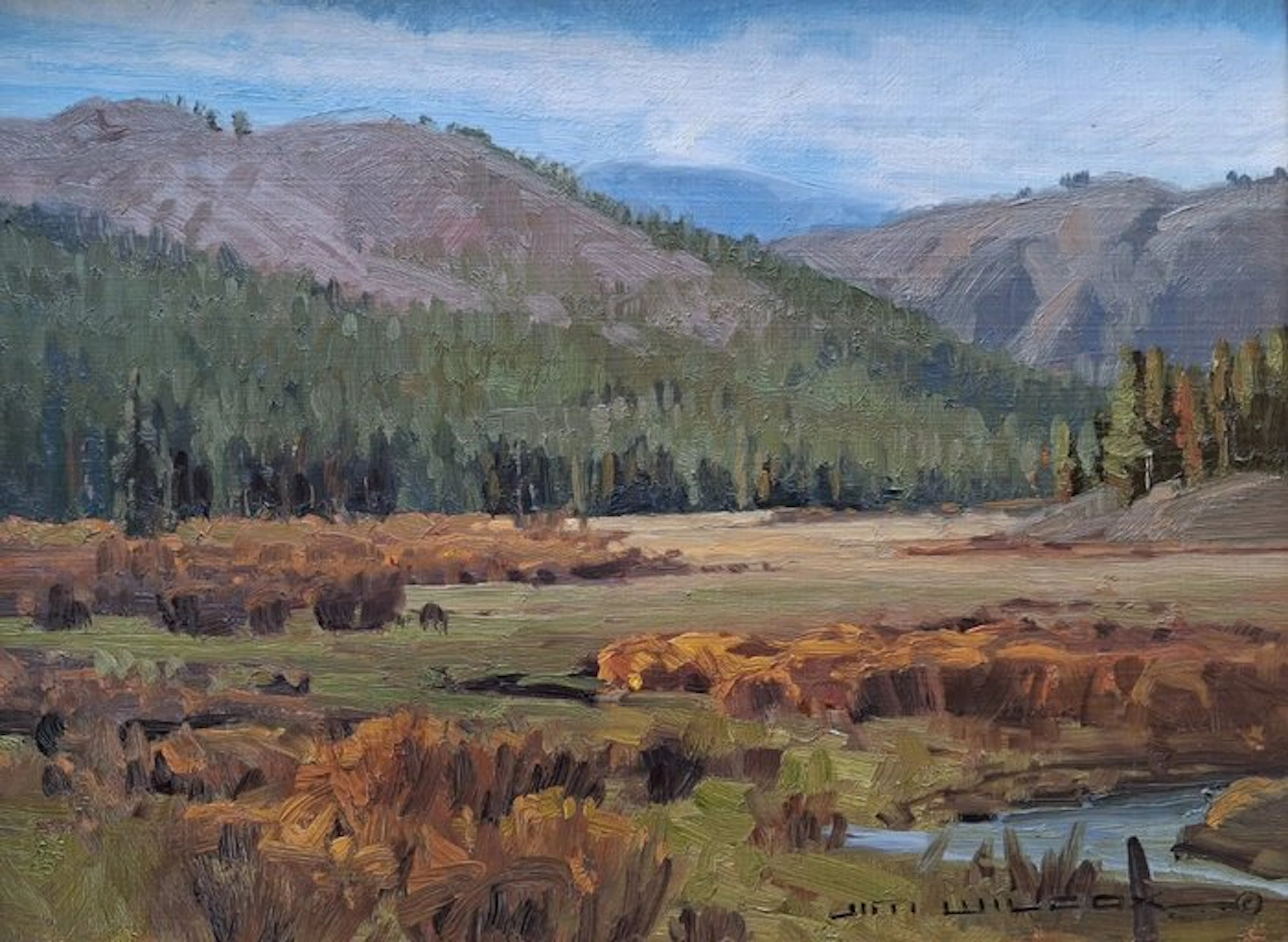 Jim Wilcox (1941) - Landschaft von Arizona