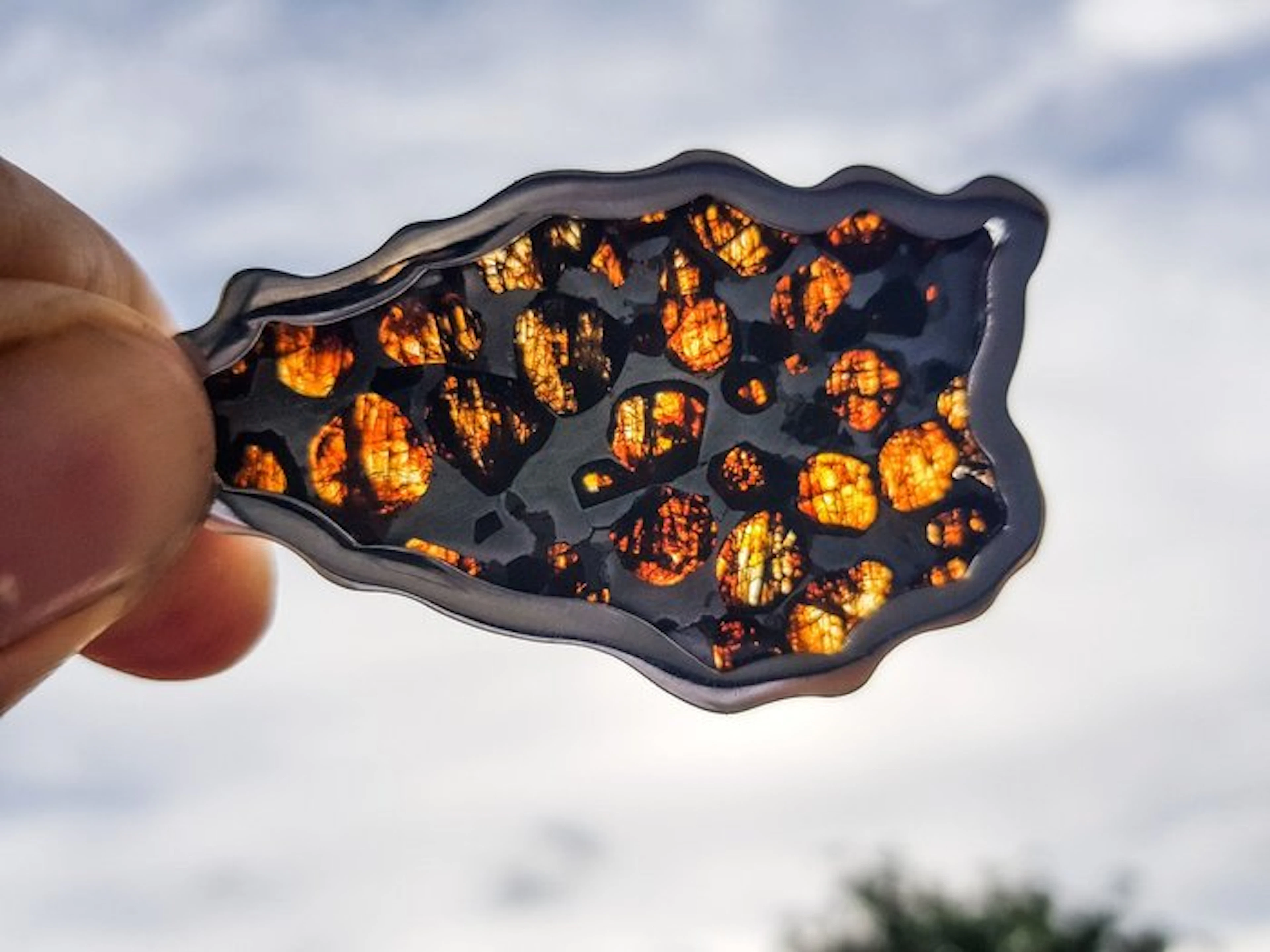 Pallasite Sericho Pallasite Pendant - Height: 7 cm - Width: 3.2 cm - 22.2 g