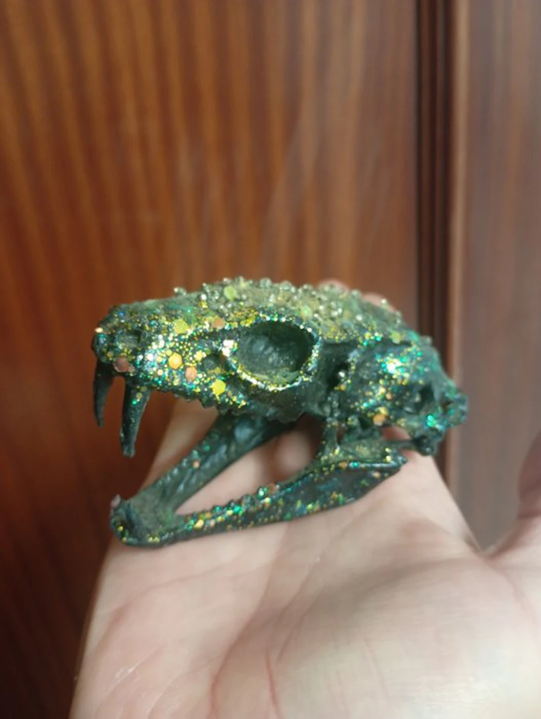 Python Skull - Python regius - 6 cm - 5 cm - 8 cm - (1)