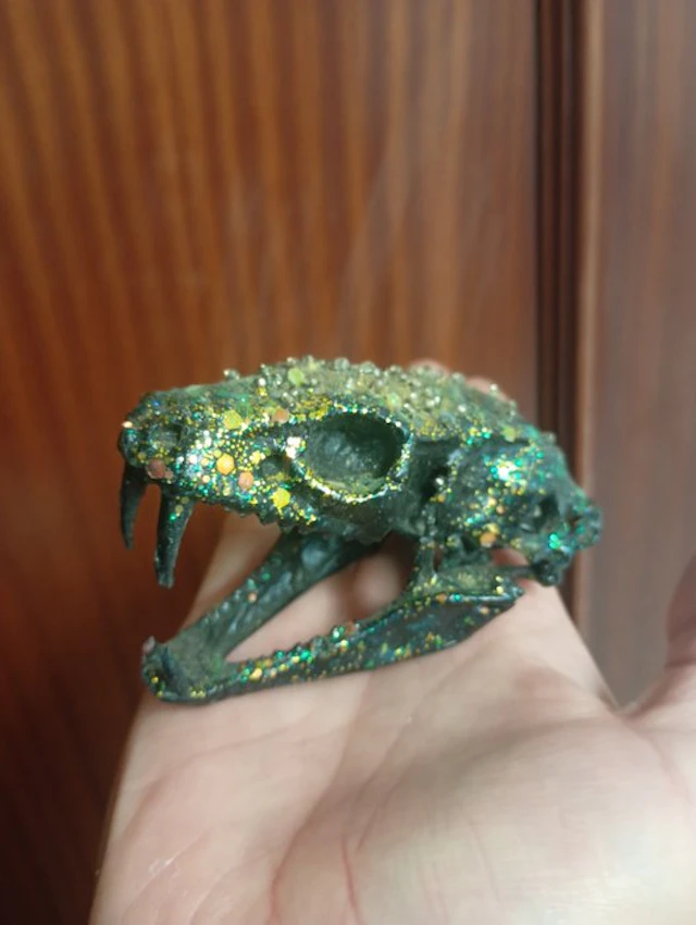 Python Skull - Python regius - 6 cm - 5 cm - 8 cm - (1)