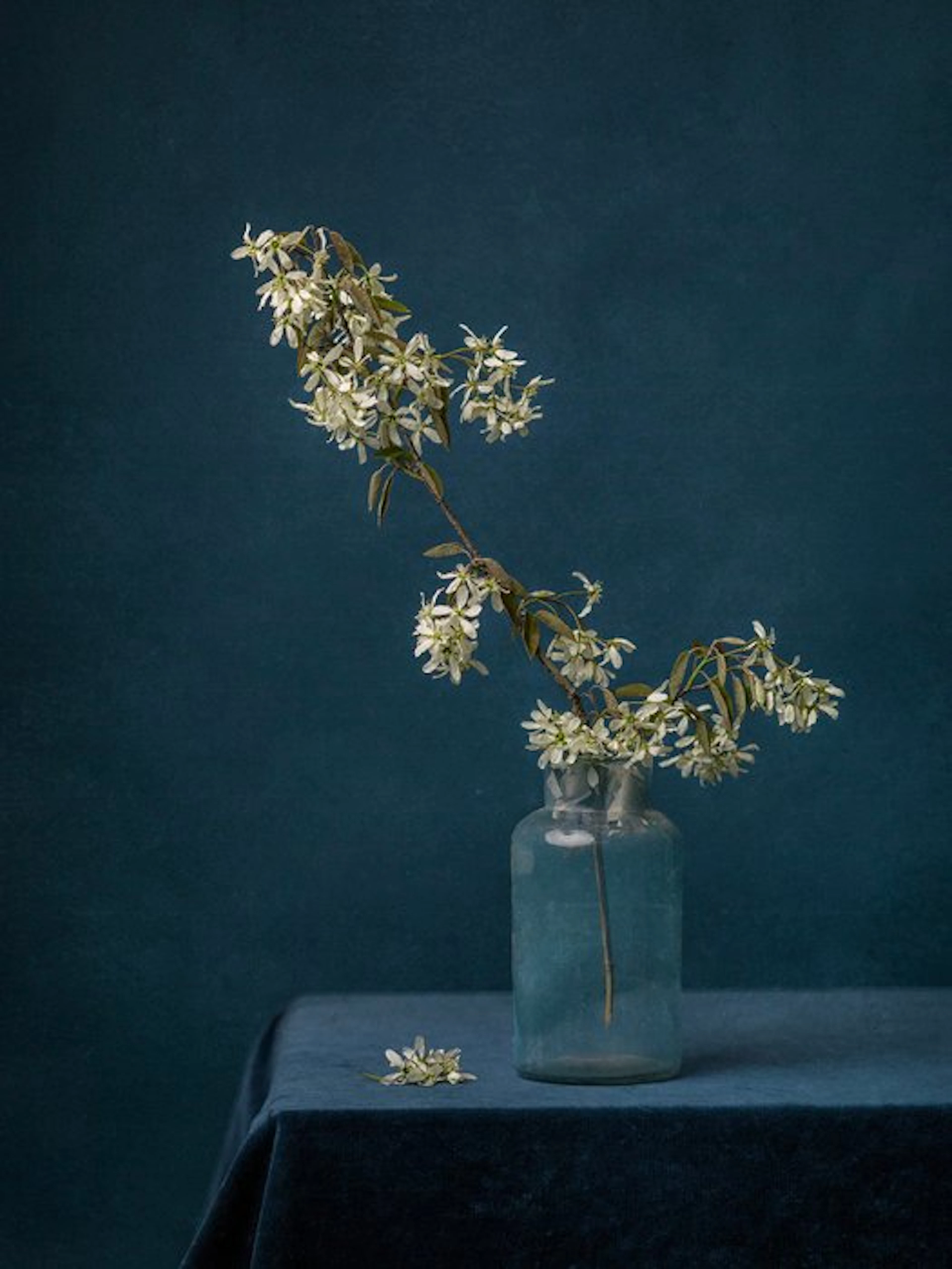 Tessa Posthuma de Boer - The beginning of burst #2