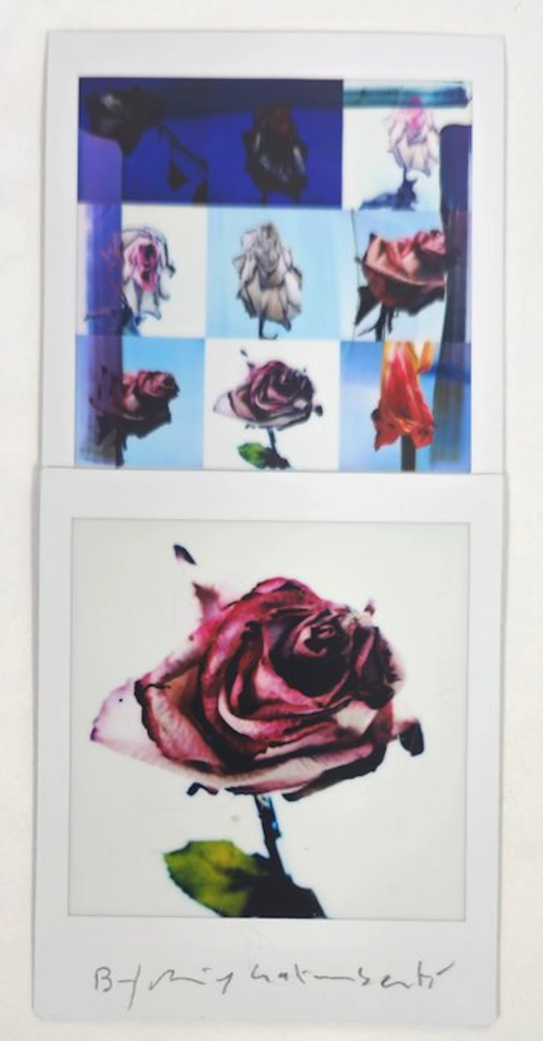 Maurizio Galimberti (1956–) - BiFlowers - 11498