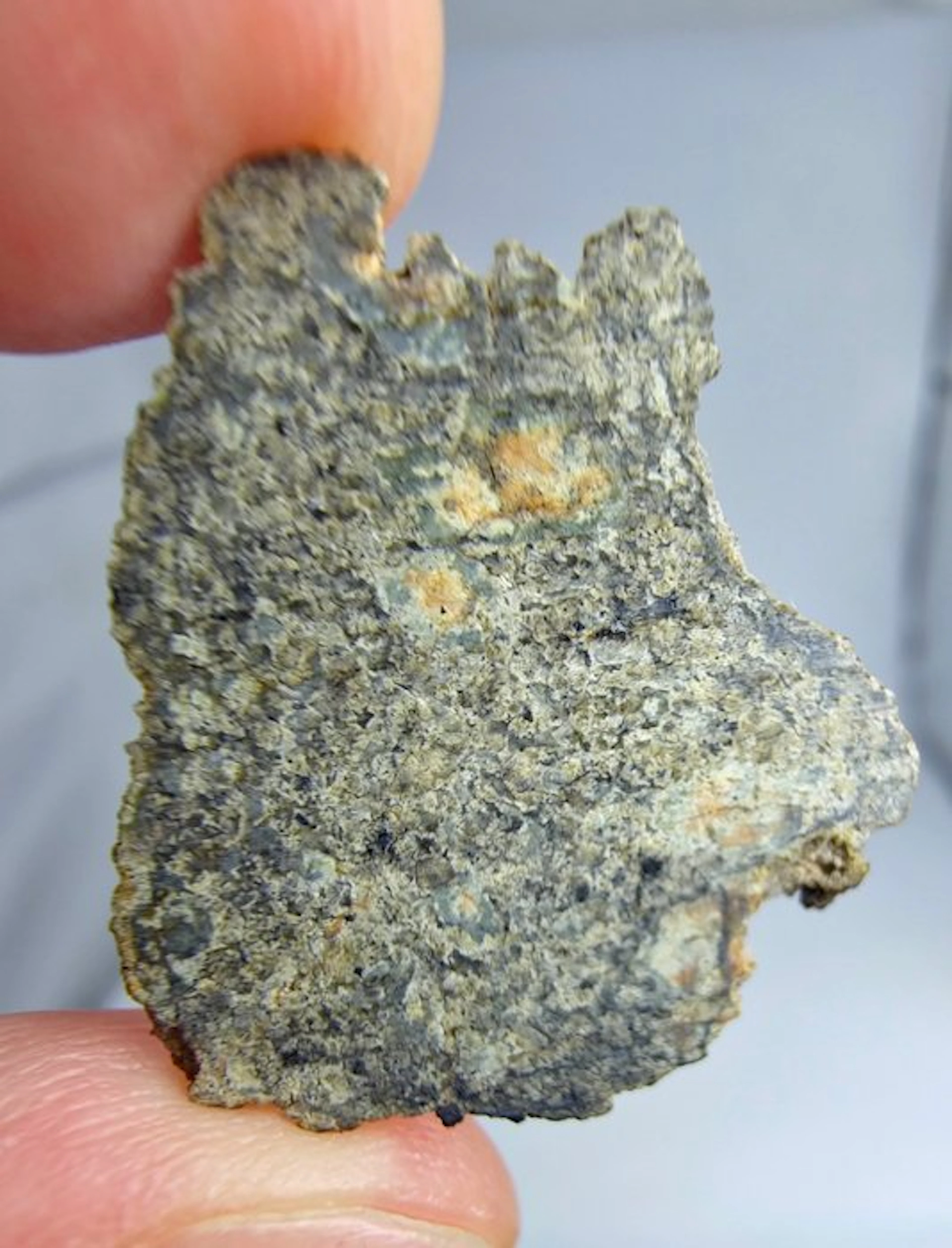 Martian Meteorite (shergottite