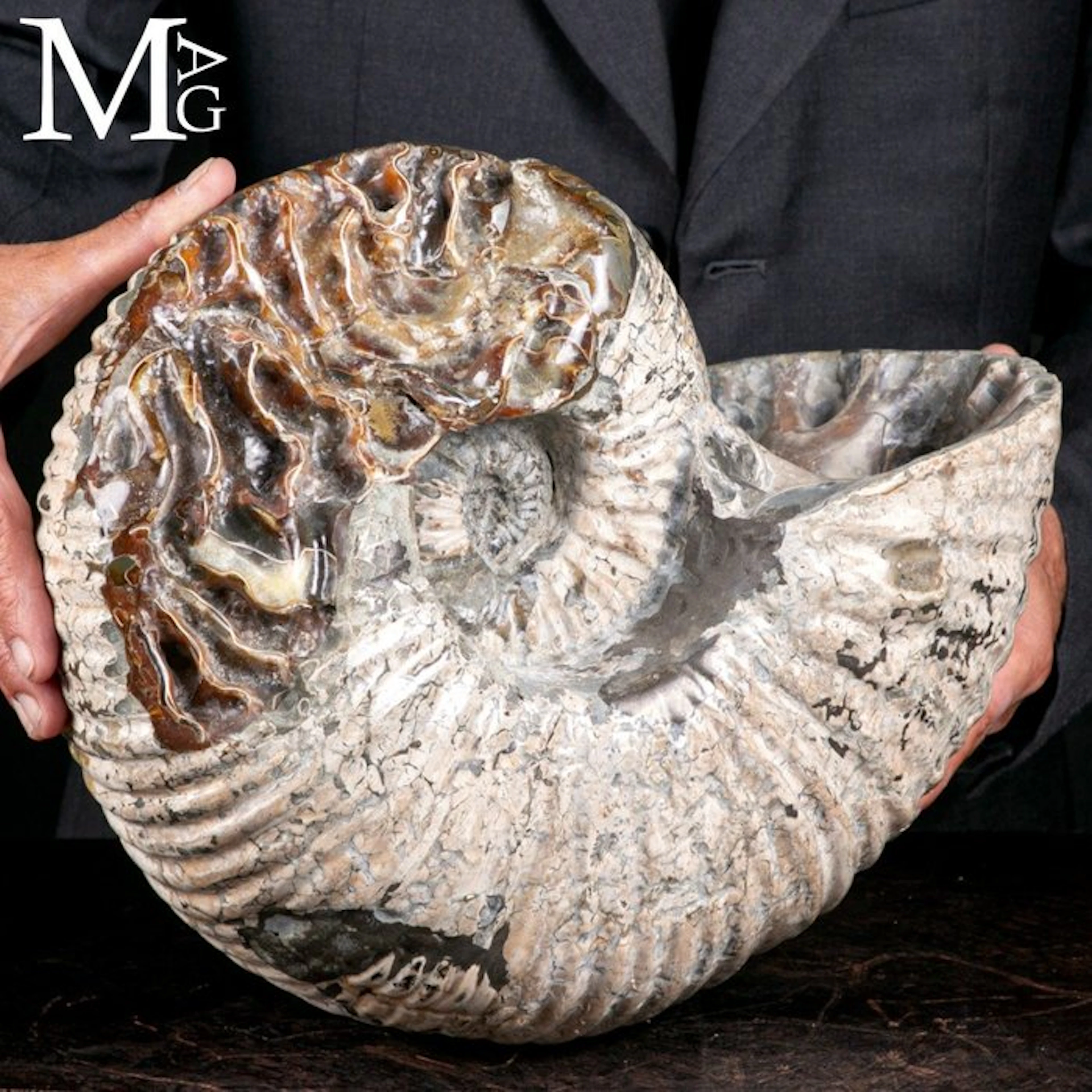 Exceptional Cretaceous Ammonite Fossil with Gemmy Calcite...