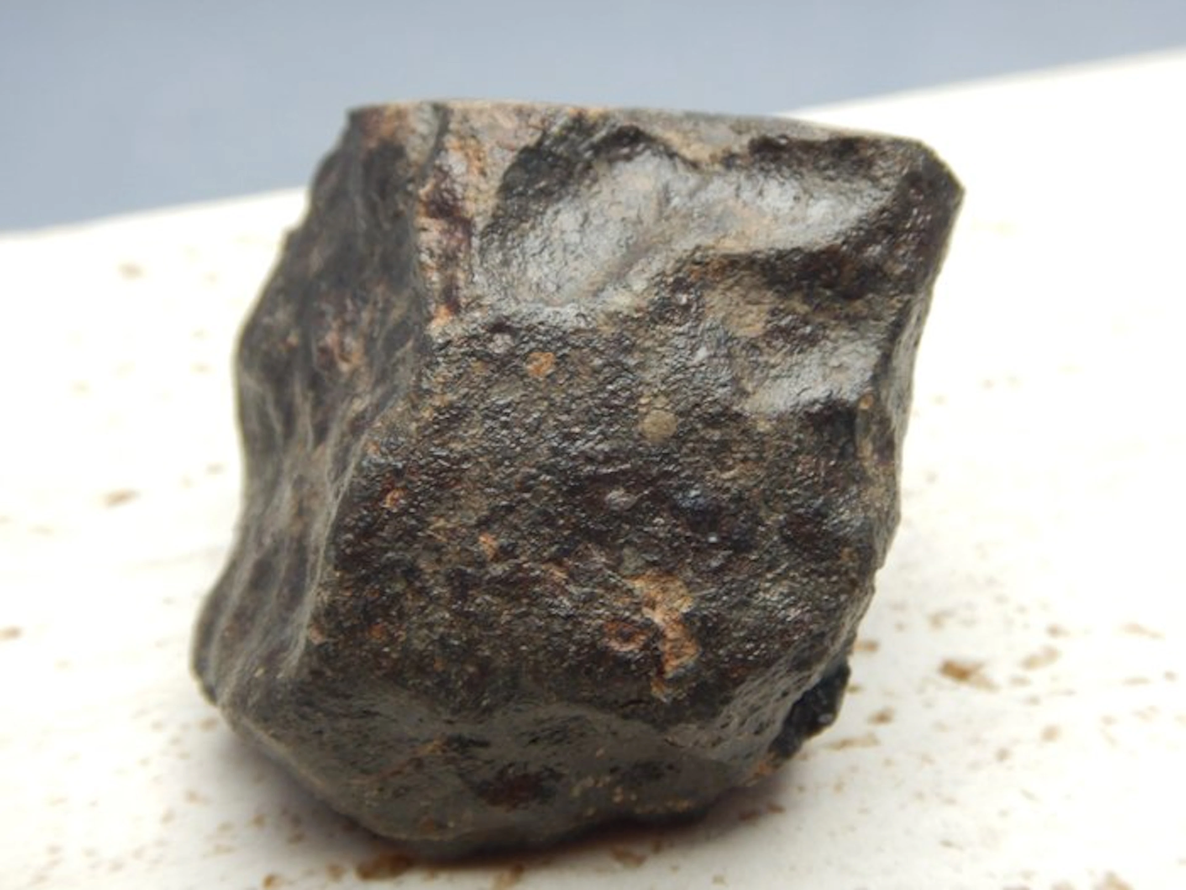Chondrite Chondrite Meteorite - 134 g - (1)