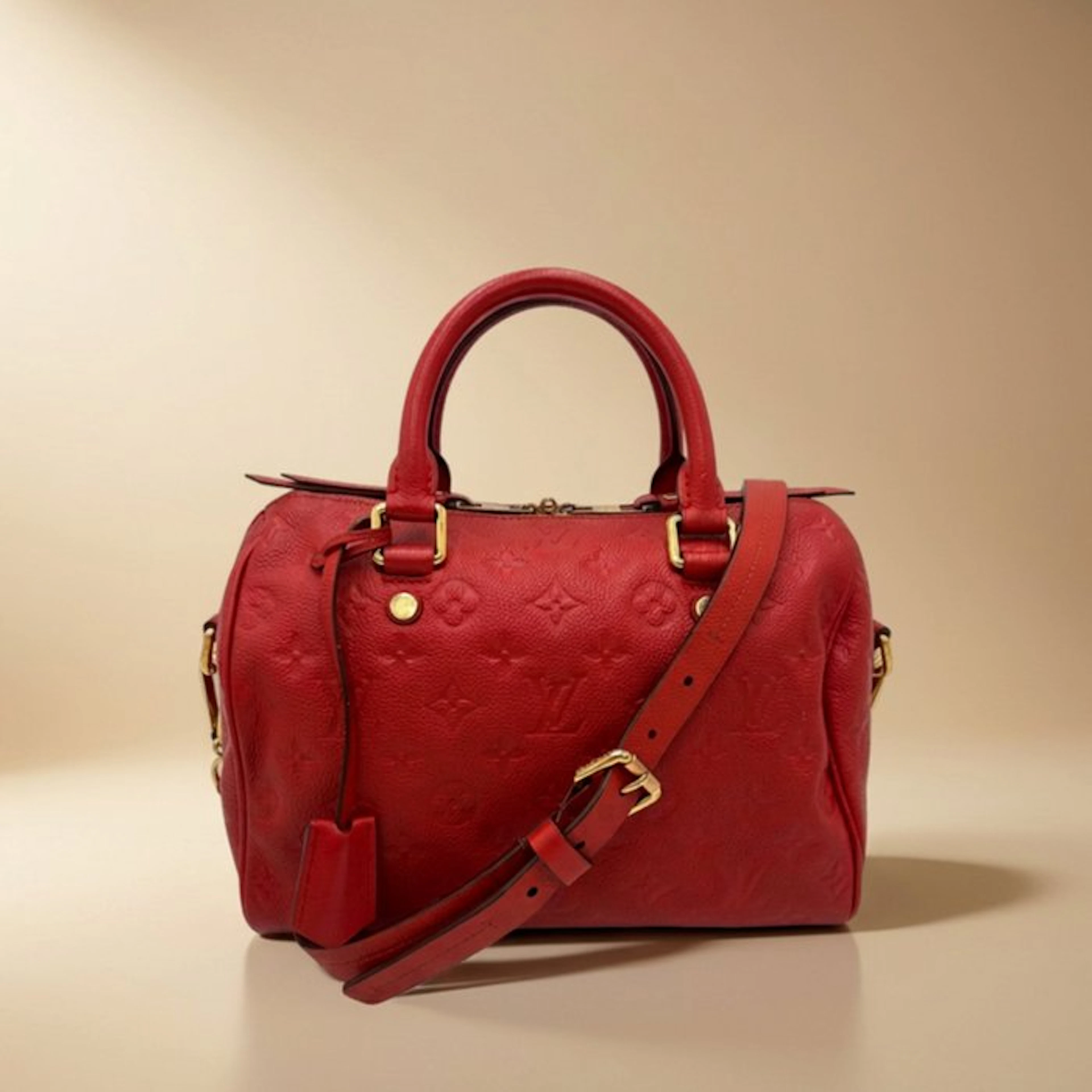 Louis Vuitton - Speedy 25 - Handbag