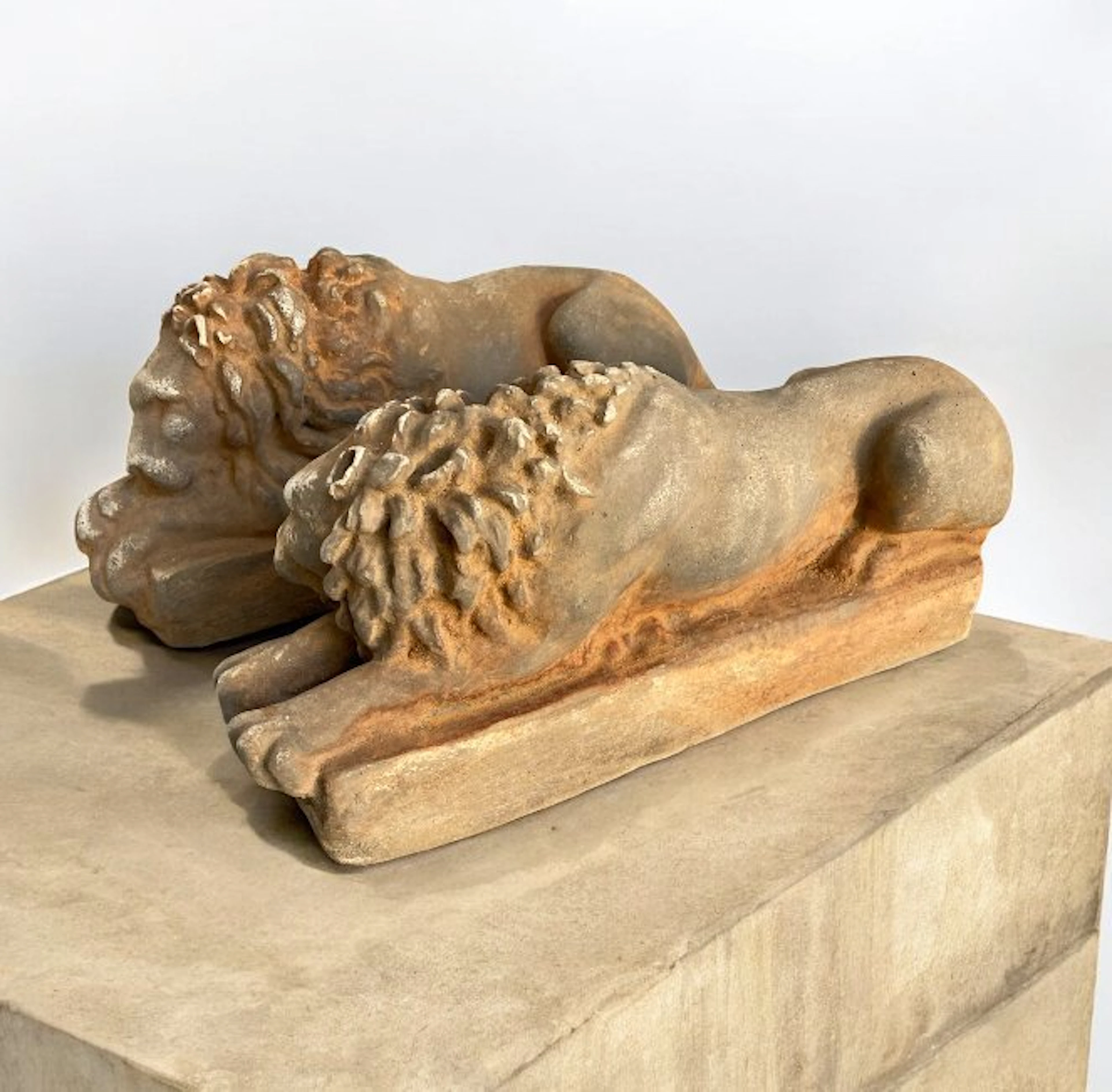 Sculpture, Leoni coppia 25 cm sdraiati - 15 cm - Stone