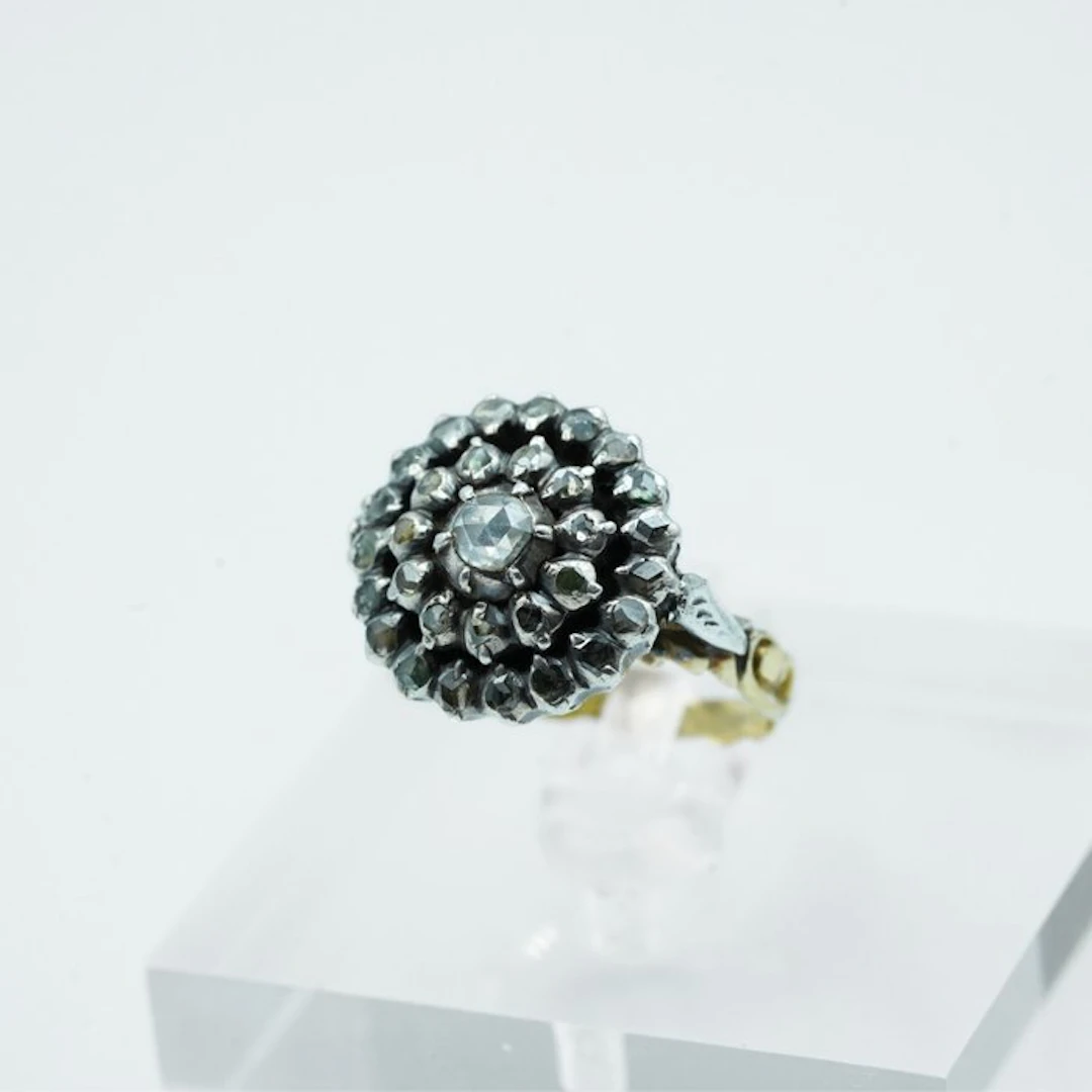 Ring - 14 kt. Yellow gold, Silver Diamond (Natural)