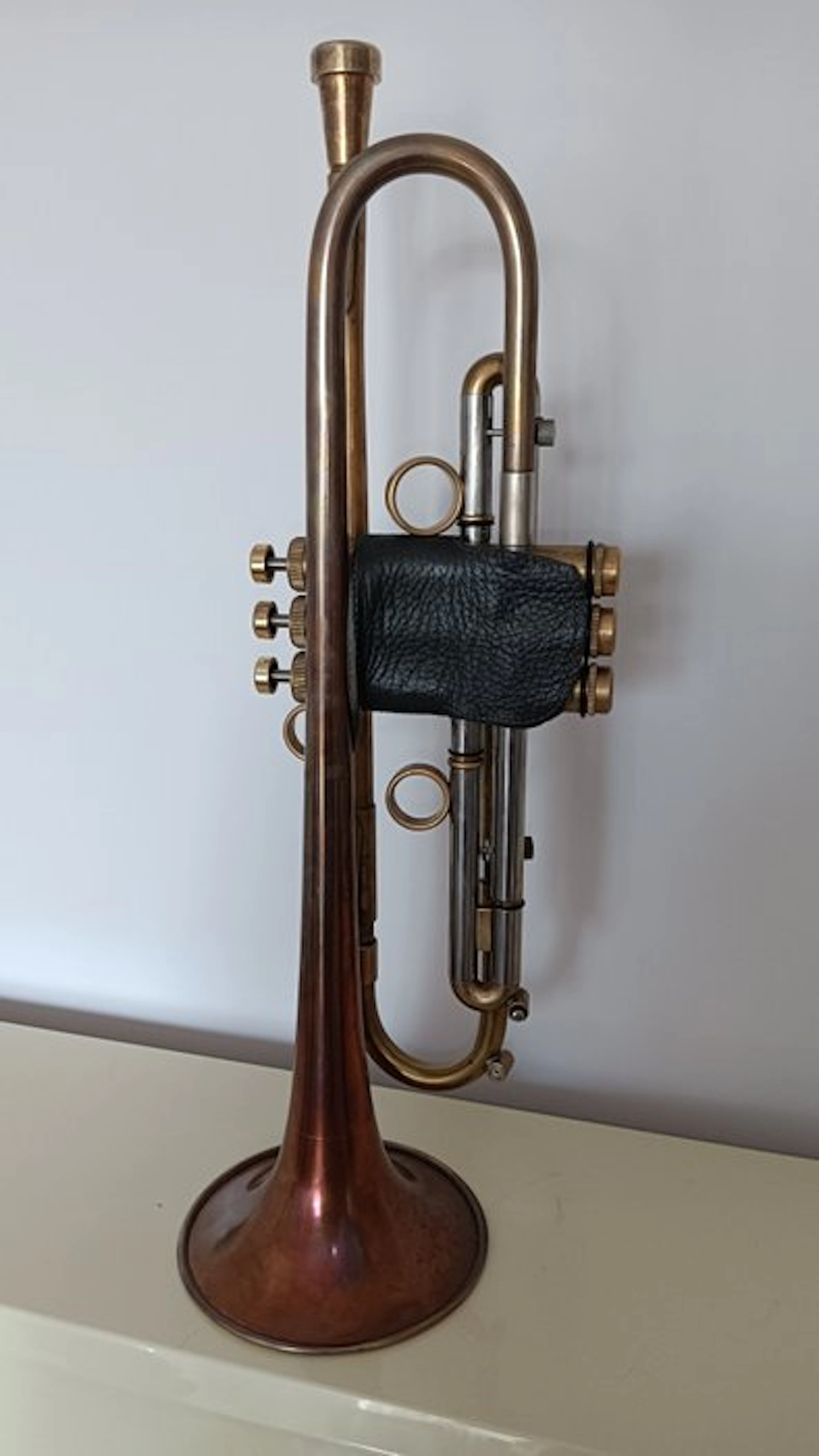 Taylor Chicago - 46 II Lite - - Musical instrument - United Kingdom - 2014