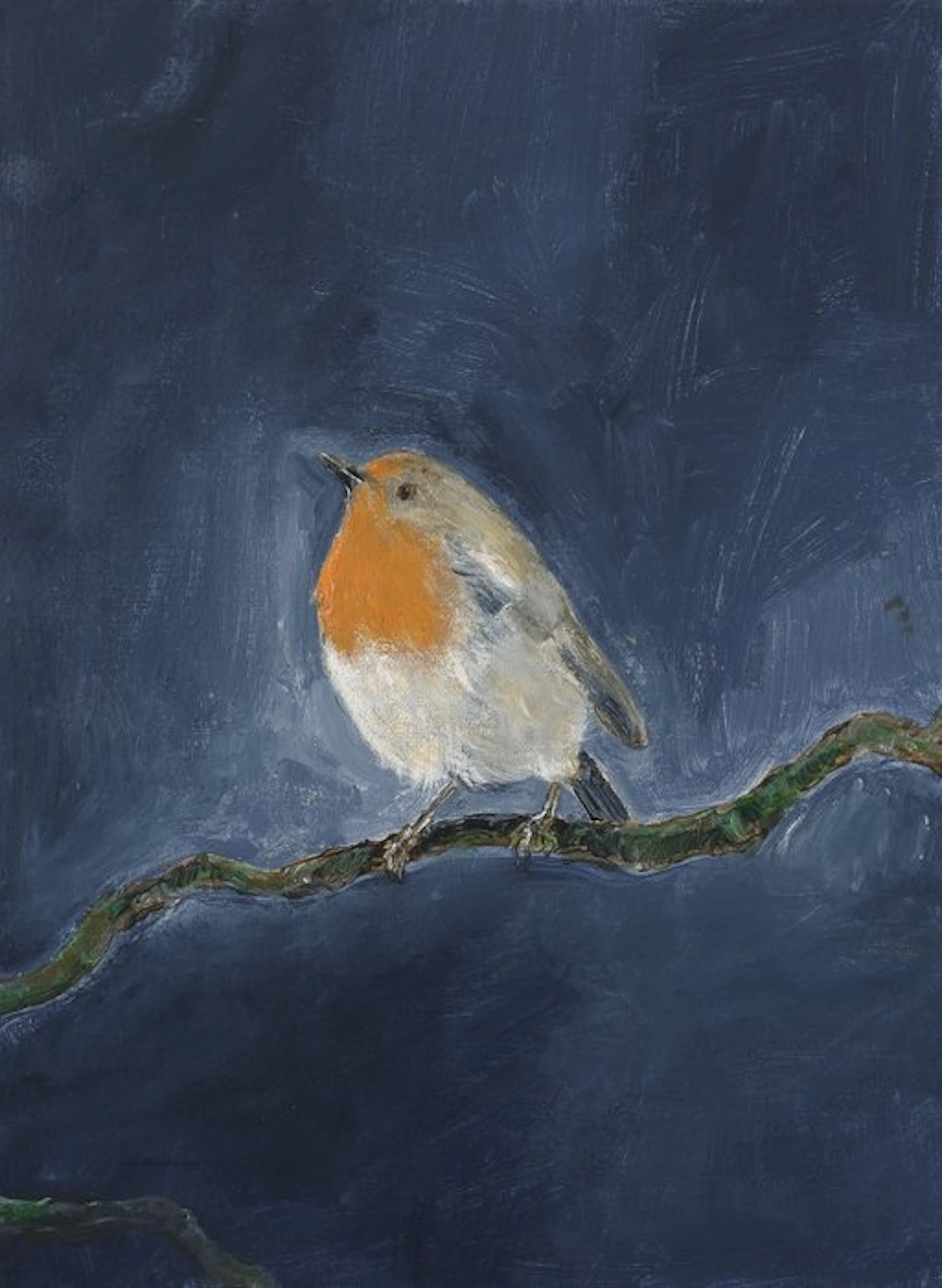 Matthieu van Riel - Robin