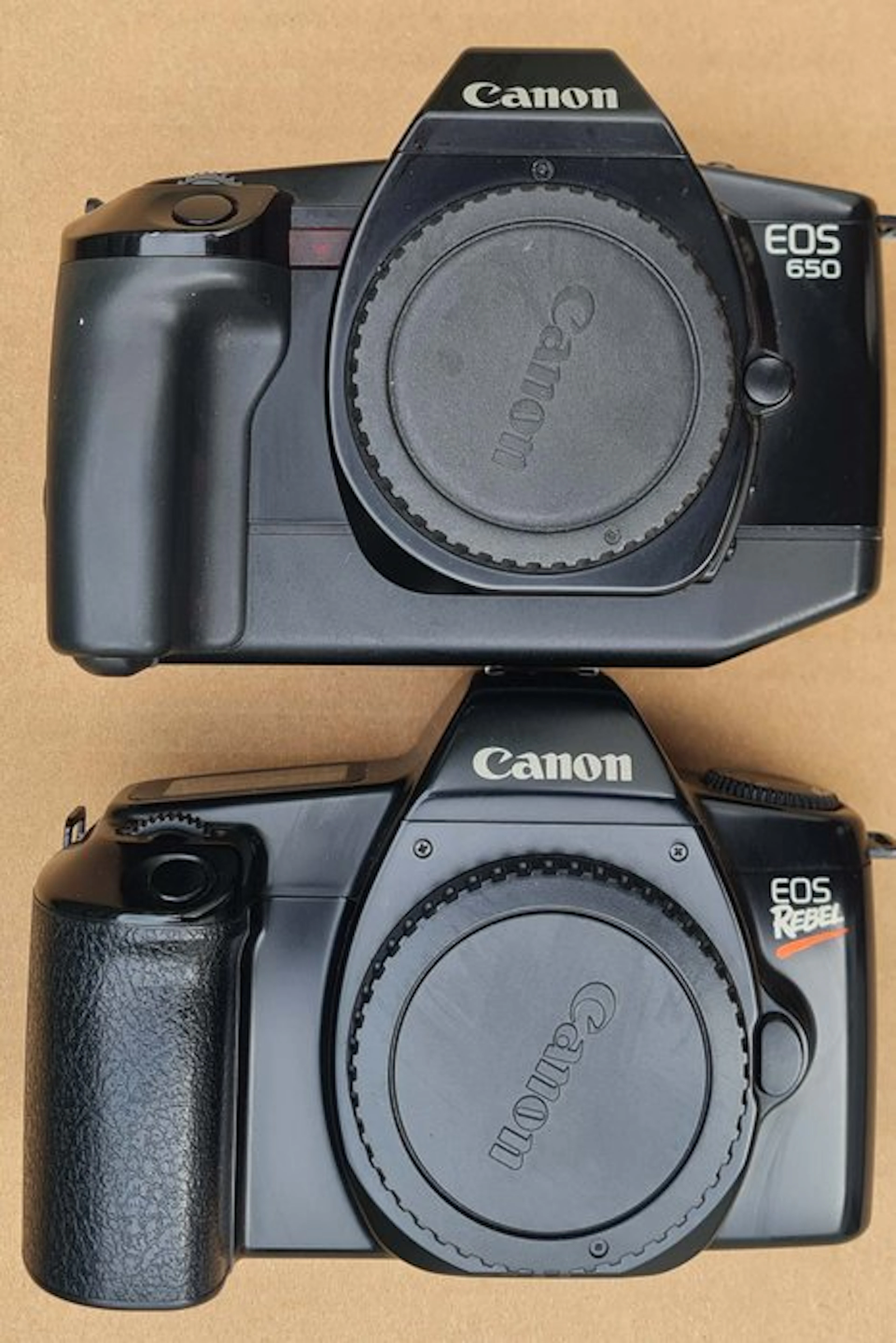 Canon EOS 650 / EOS Rebel + FE/FD adapter | Analogue camera
