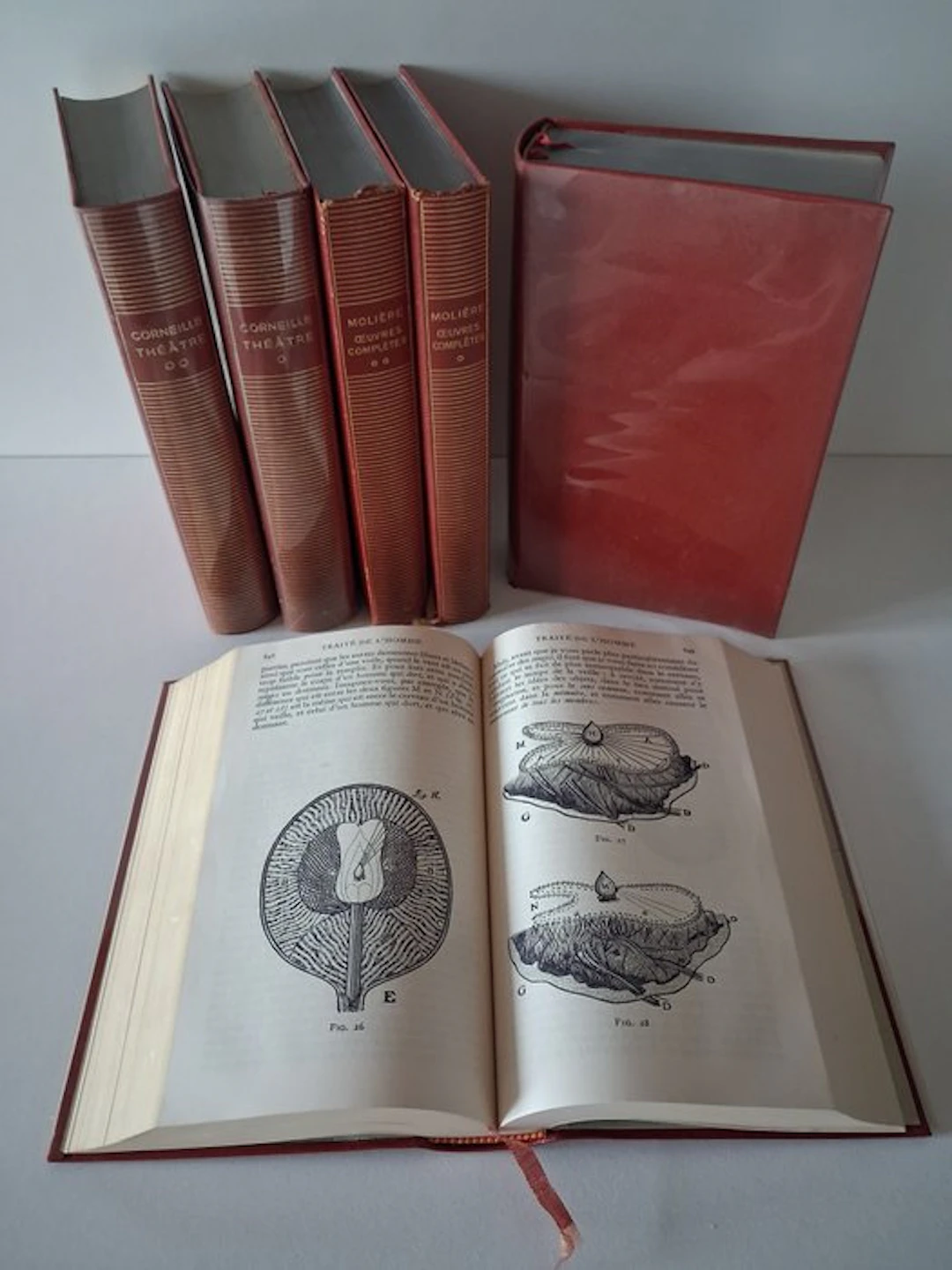 Pierre Corneille / Molière / René Descartes / Blaise...