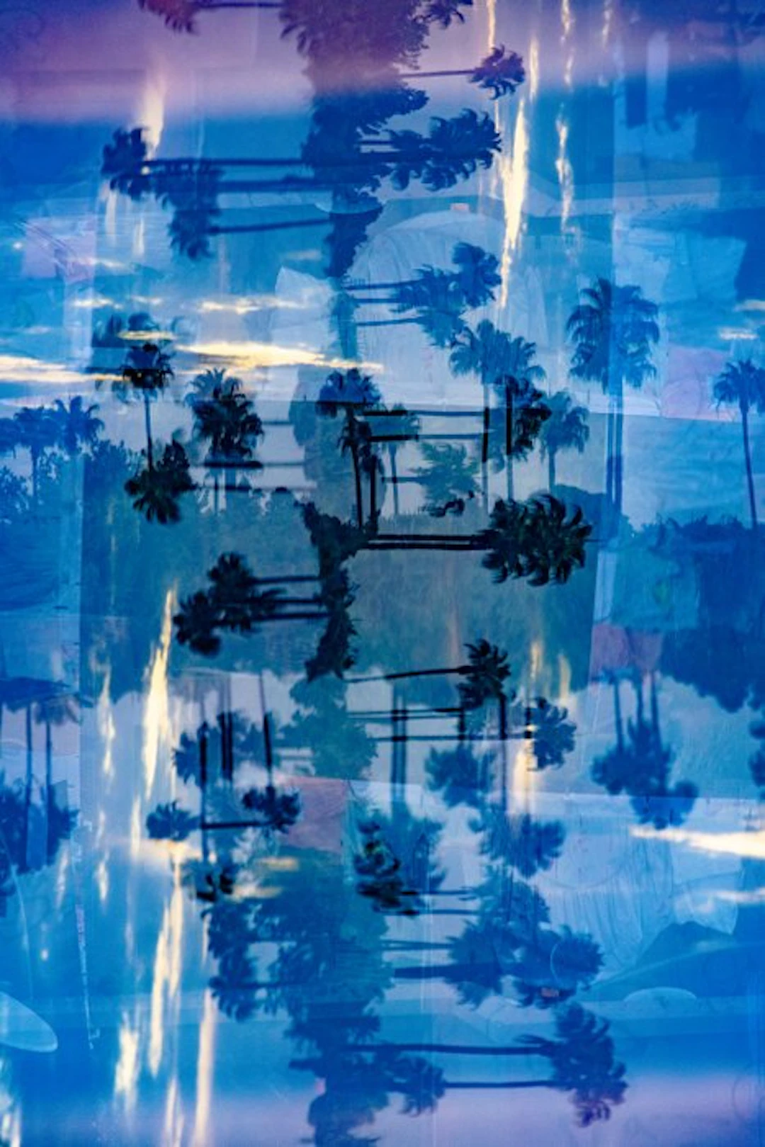 Ben Dauchez - An after noon at Majorelle #6
