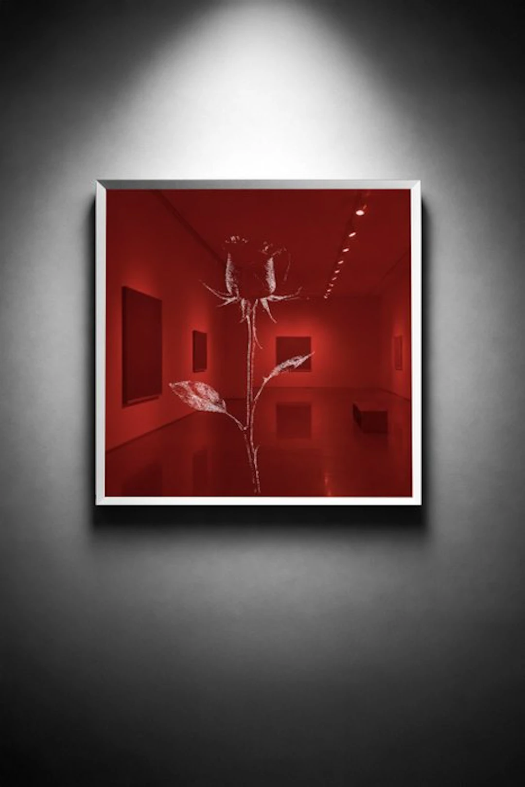 Tijs Dragtsma (1992) - A Thorn Holds Its Fire