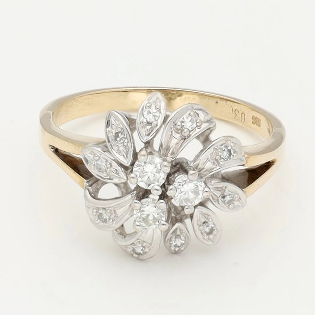 Ring - 14 kt. Yellow gold, White gold