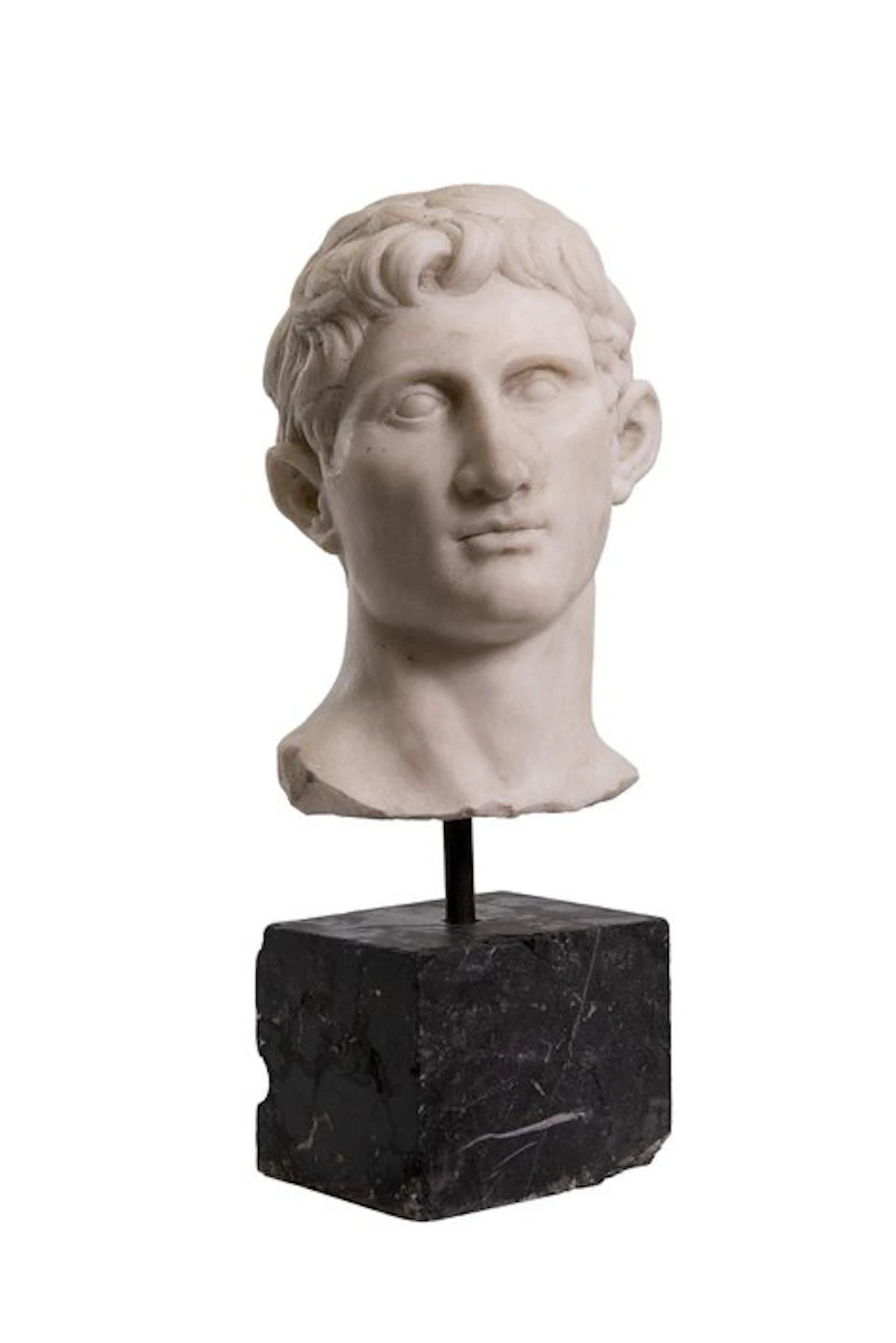 Sculpture, Grande Testa di Augusto in marmo - 59 cm - Marble