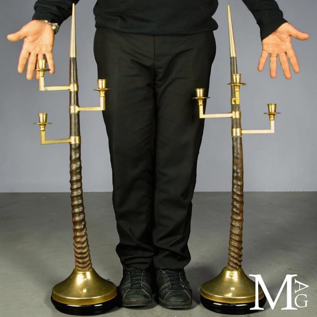 Pair of Spiraled Kudu Horns with Polished Dark Tones and...