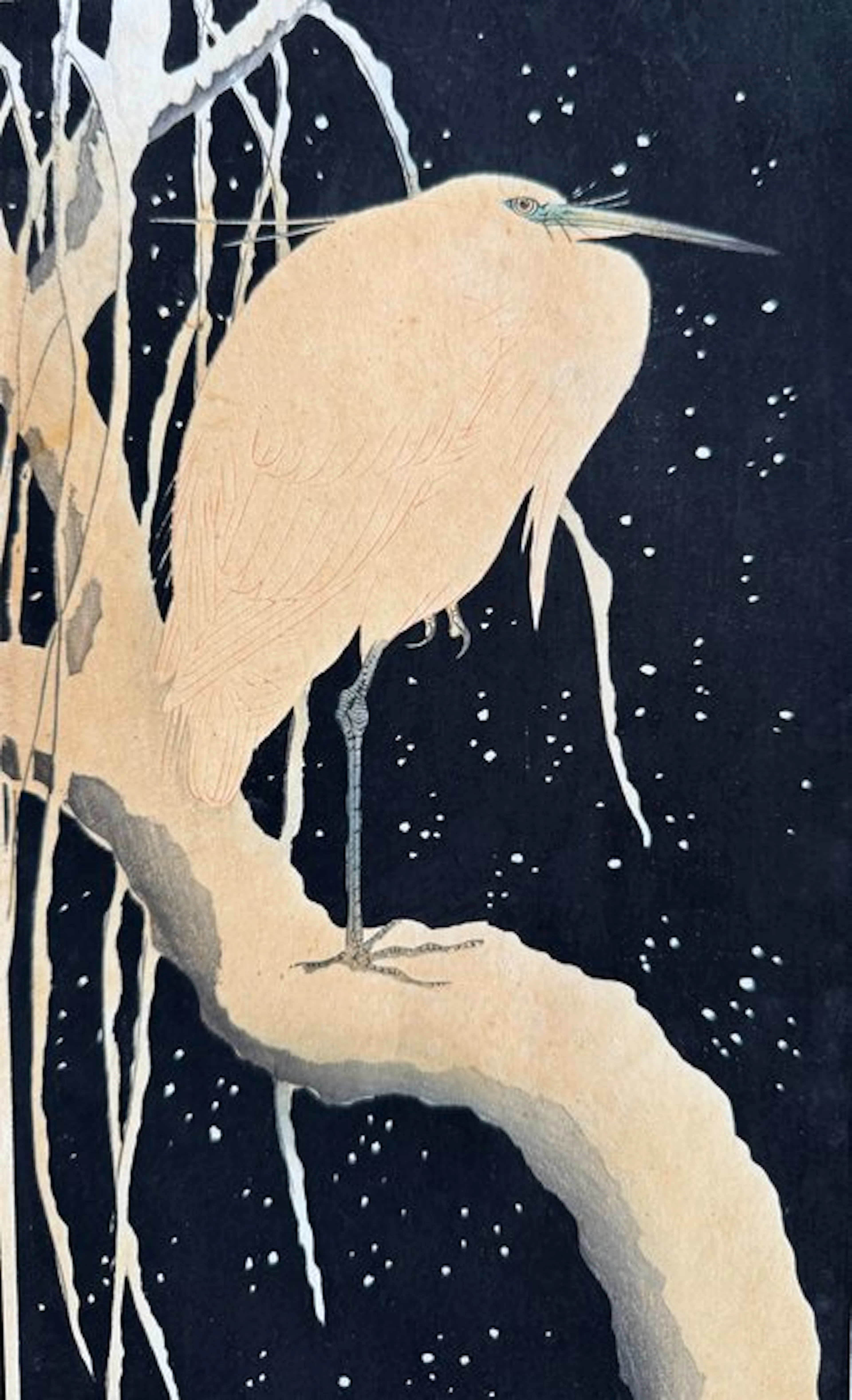 Egret on a snow-covered branch - Ohara Koson (1877-1945) - Japan