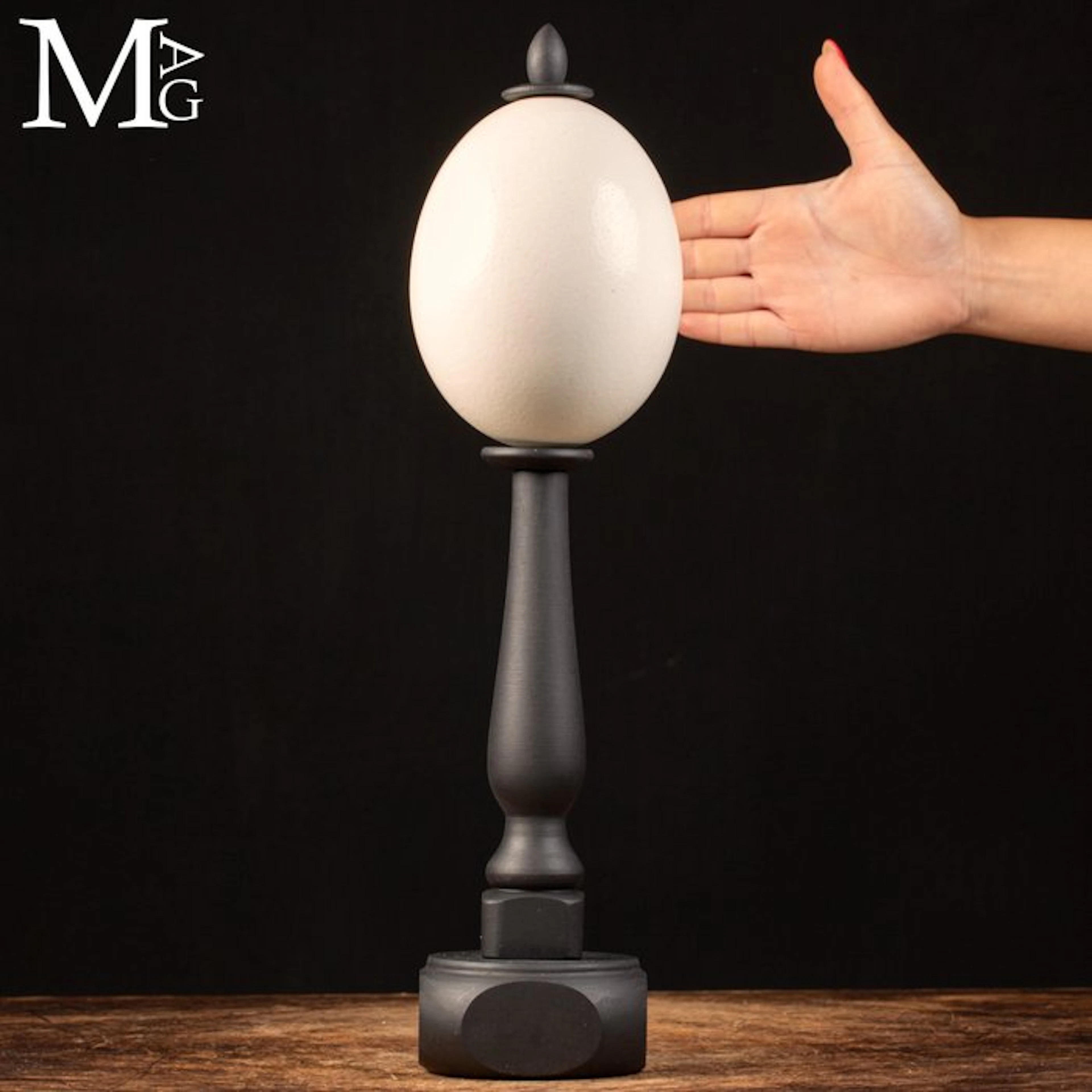 Ostrich Egg - Dark Wood Handmade Basement - Egg - Strutio...