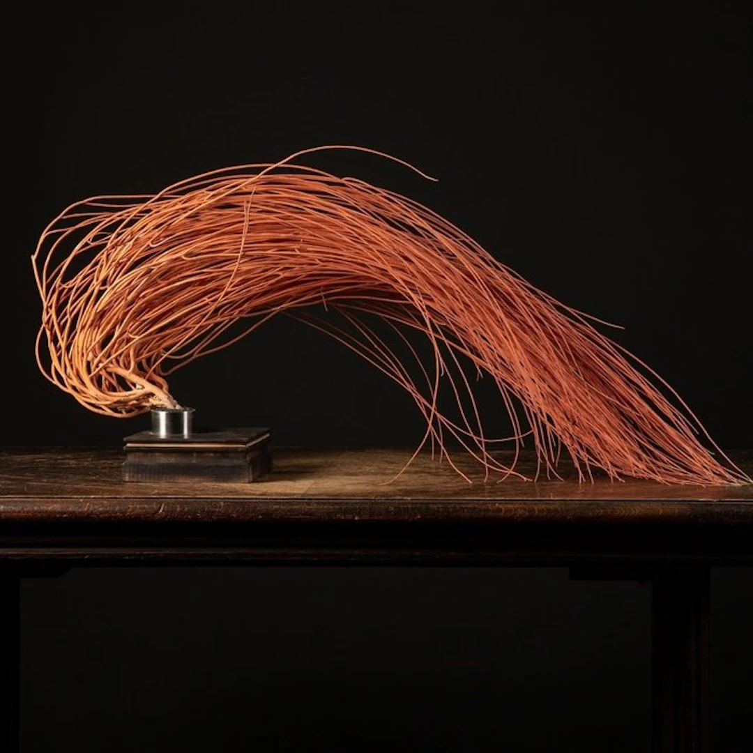 Incredible Form - Red Gorgonian